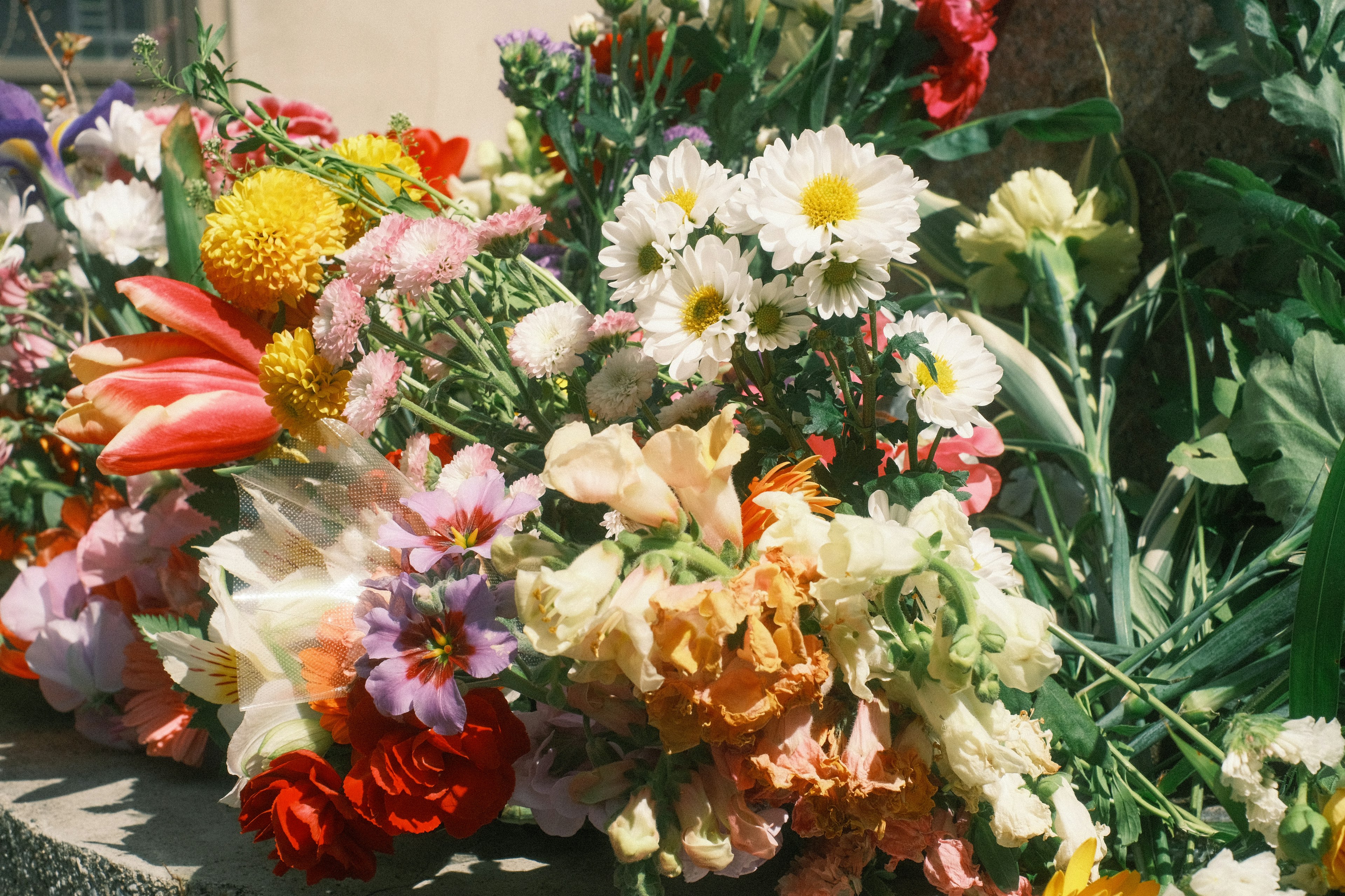 Una colección vibrante de varias flores dispuestas juntas