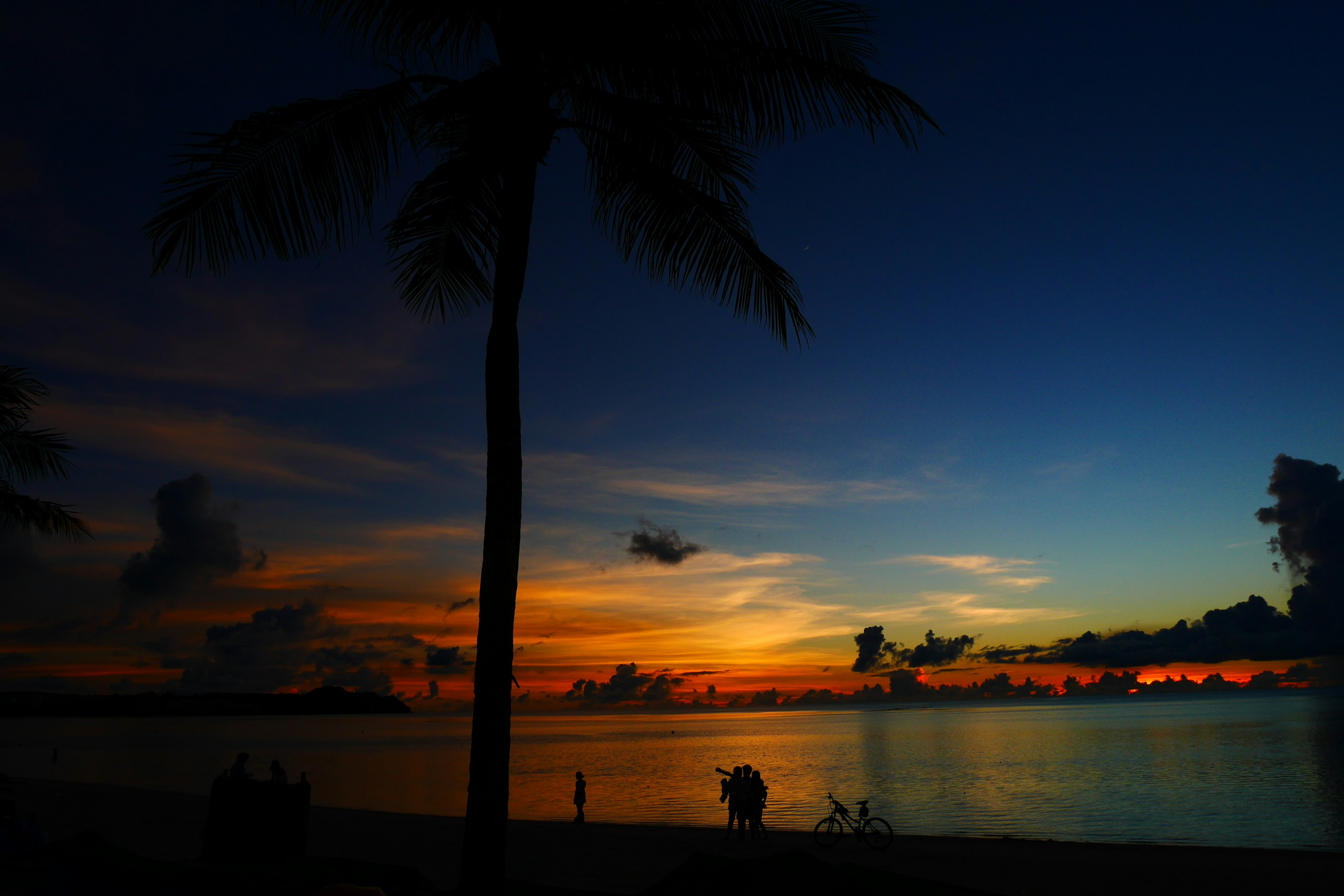 Silhouette von Palmen vor einem lebendigen Sonnenuntergang am Strand