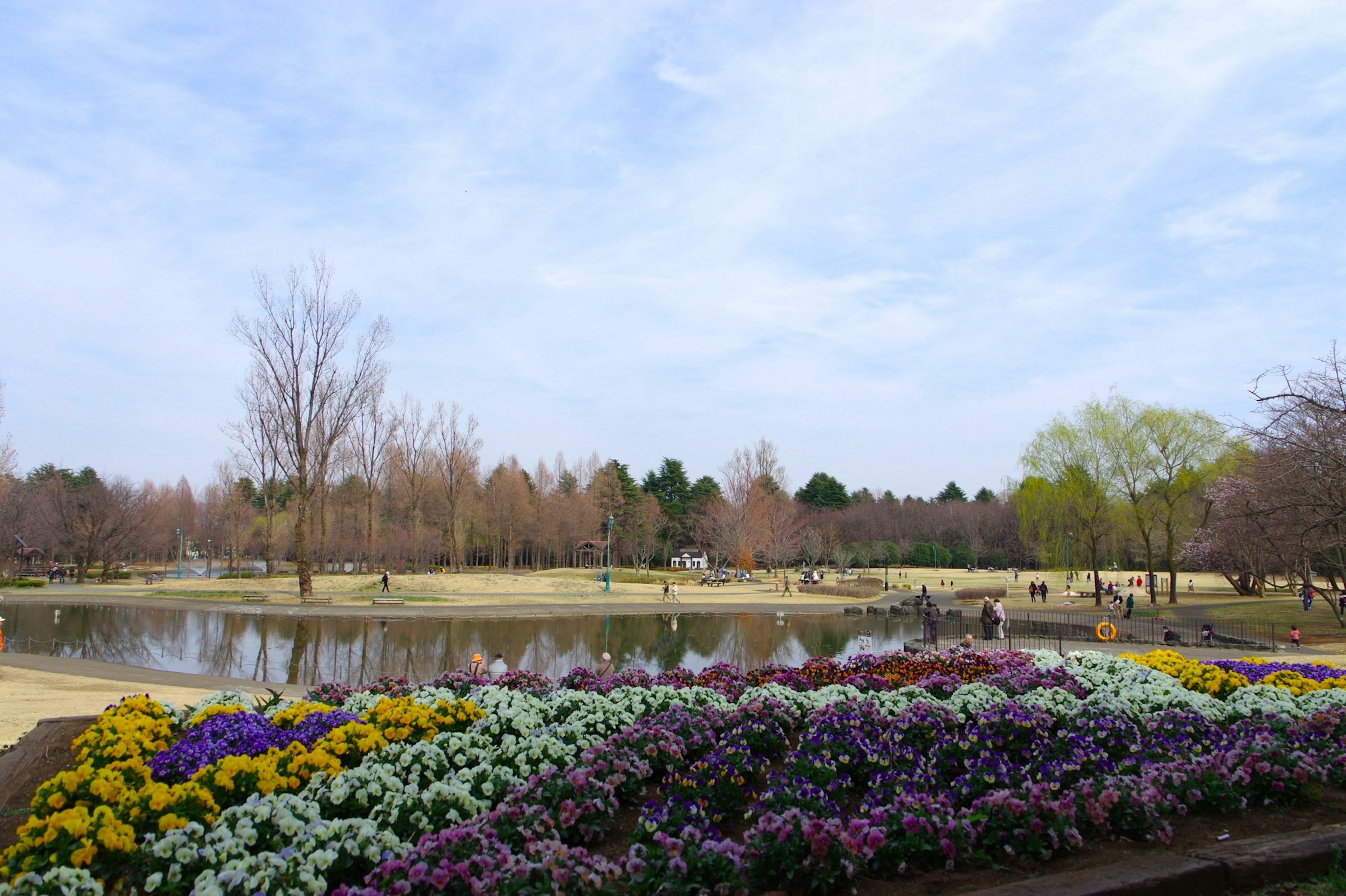 A scenic park view with blooming flowers a lake and trees in the background