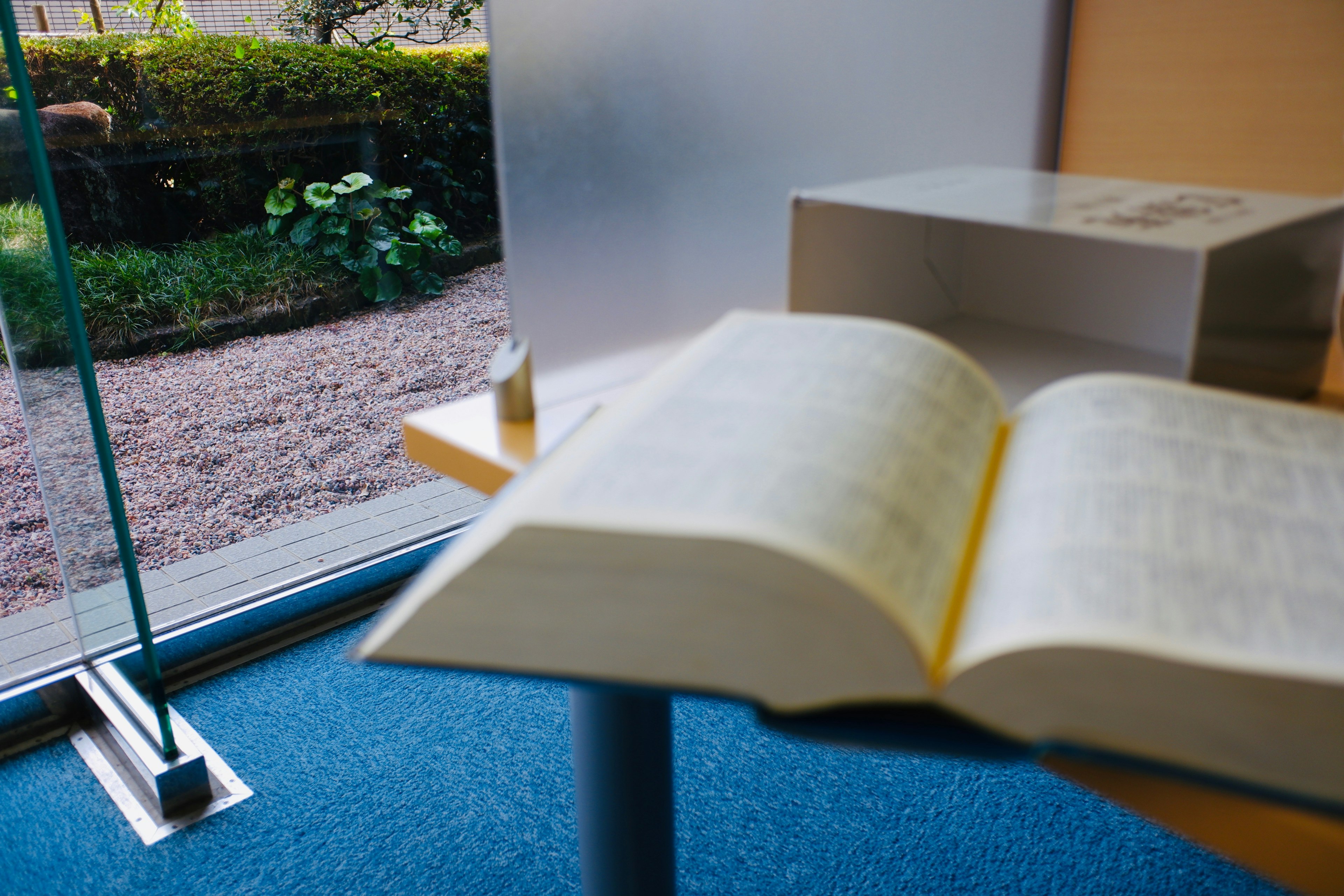 Ein offenes Buch auf einem Tisch mit Pflanzen, die durch das Glasfenster sichtbar sind