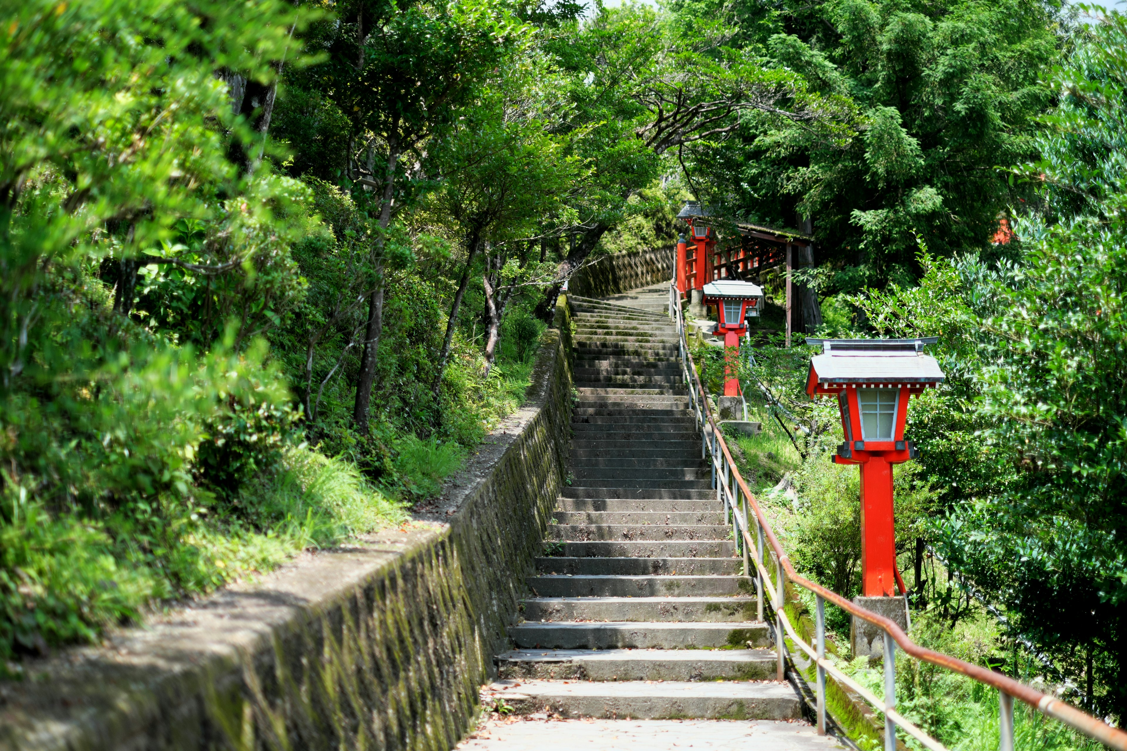 A serene pathway with stone steps surrounded by greenery and red lanterns