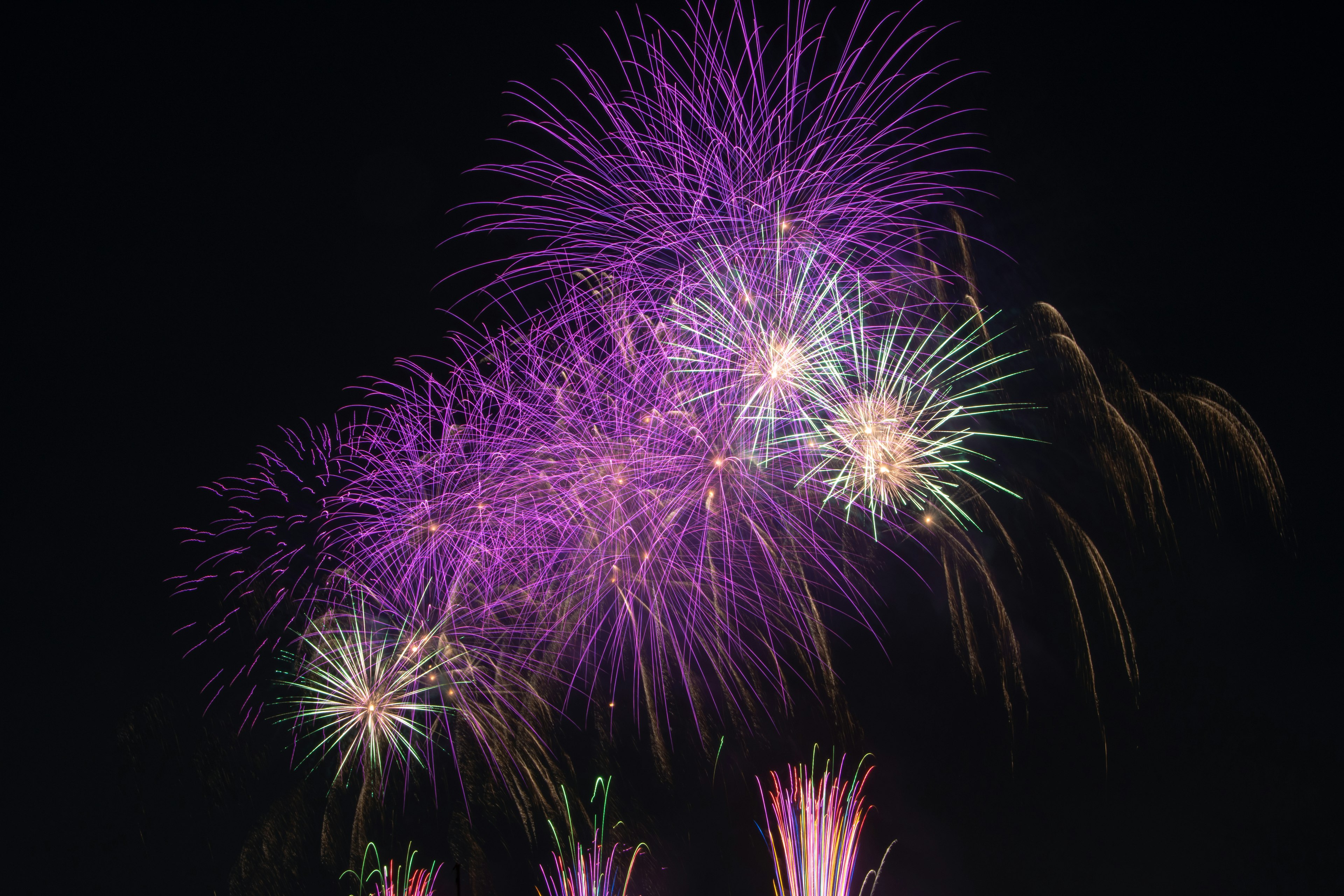 Fuochi d'artificio vibranti che esplodono nel cielo notturno