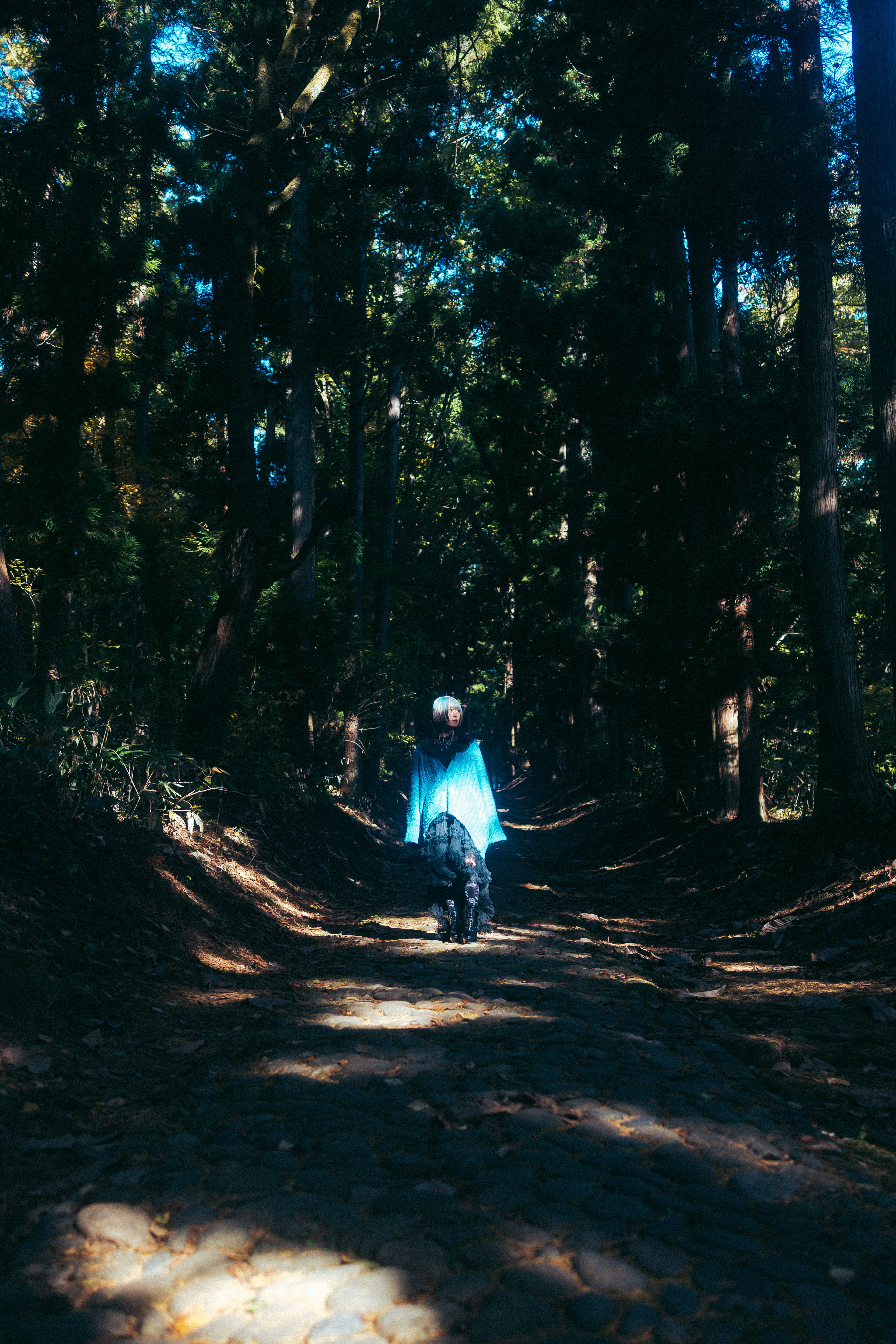 Persona che cammina in una foresta con abbigliamento blu circondata da alberi