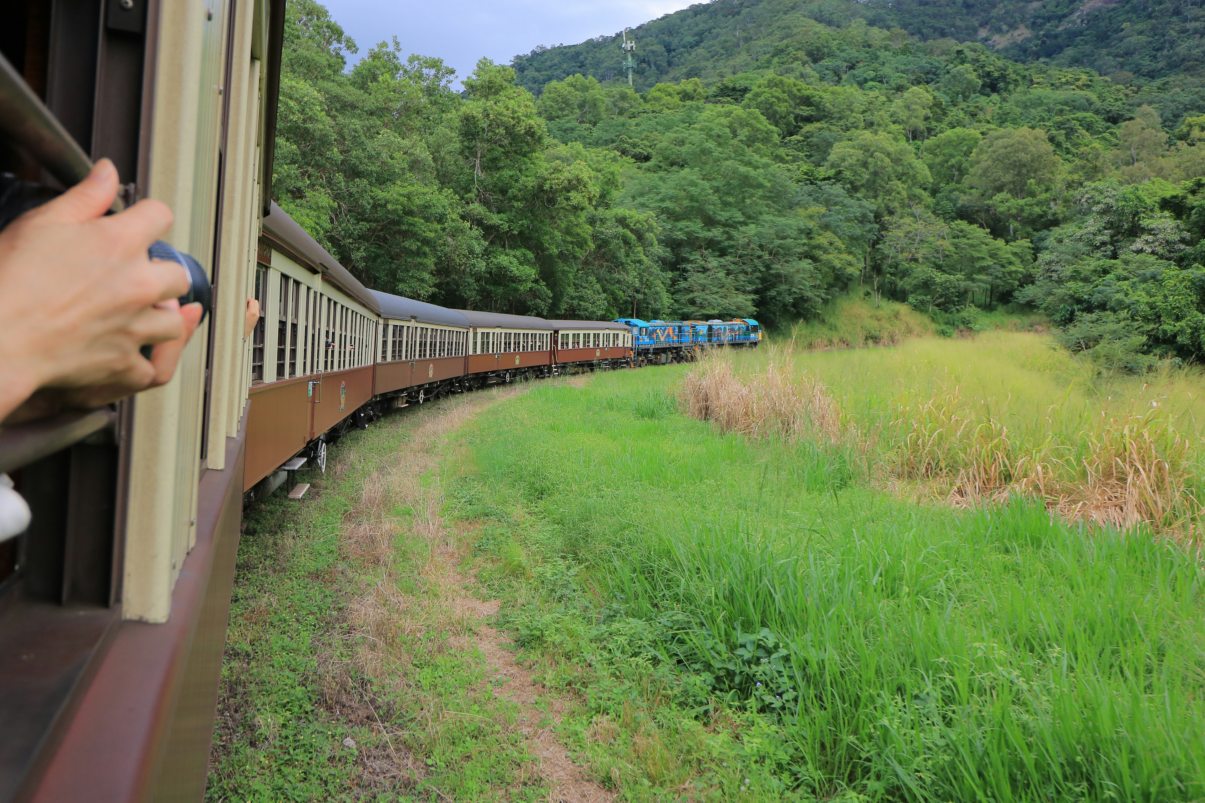 รถไฟโค้งผ่านภูมิทัศน์สีเขียวชอุ่มพร้อมมือที่ออกมานอกหน้าต่าง