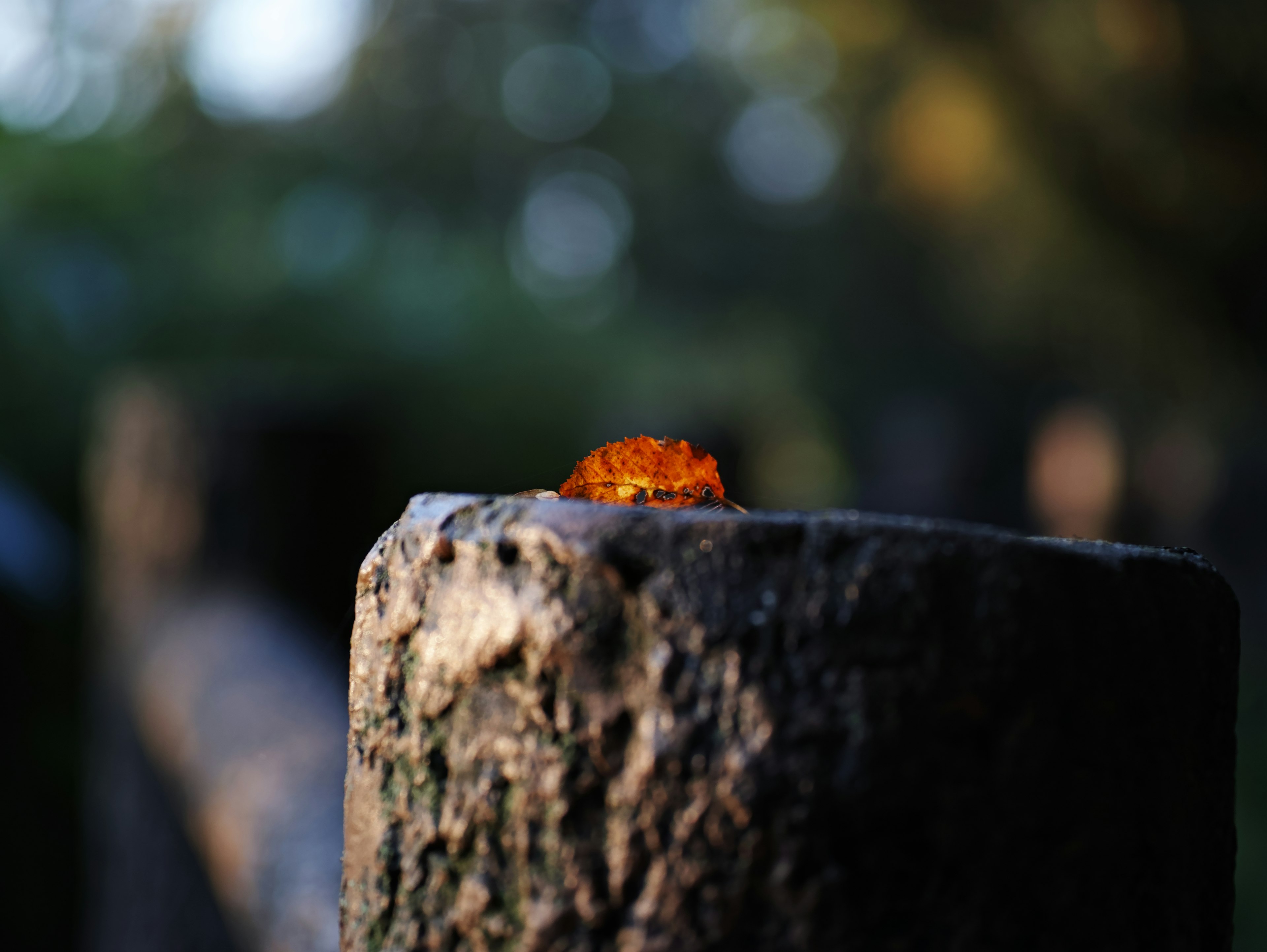 Un oggetto arancione posato su un palo di legno illuminato da una luce soffusa