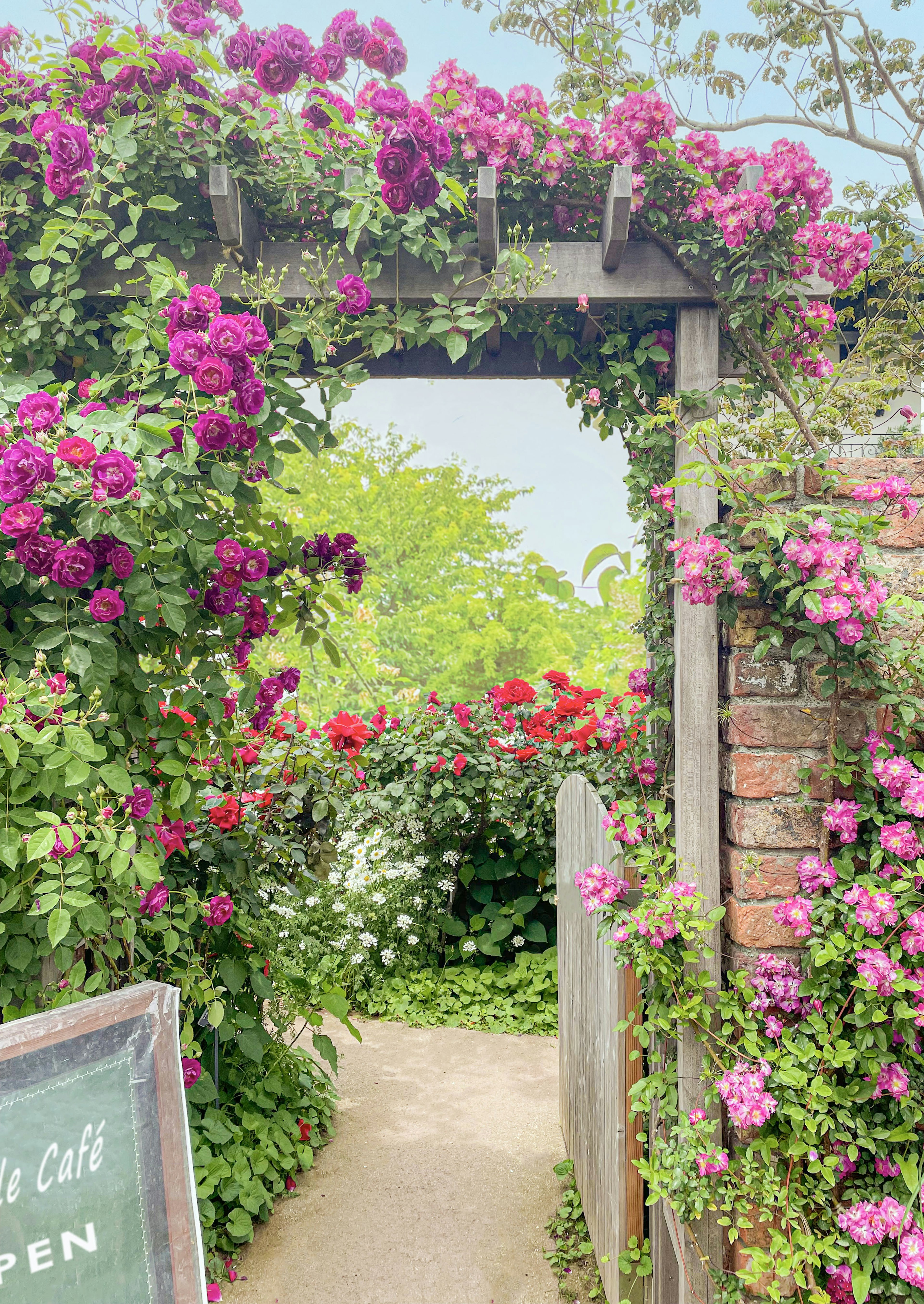 色とりどりの花が咲くアーチのある小道の風景