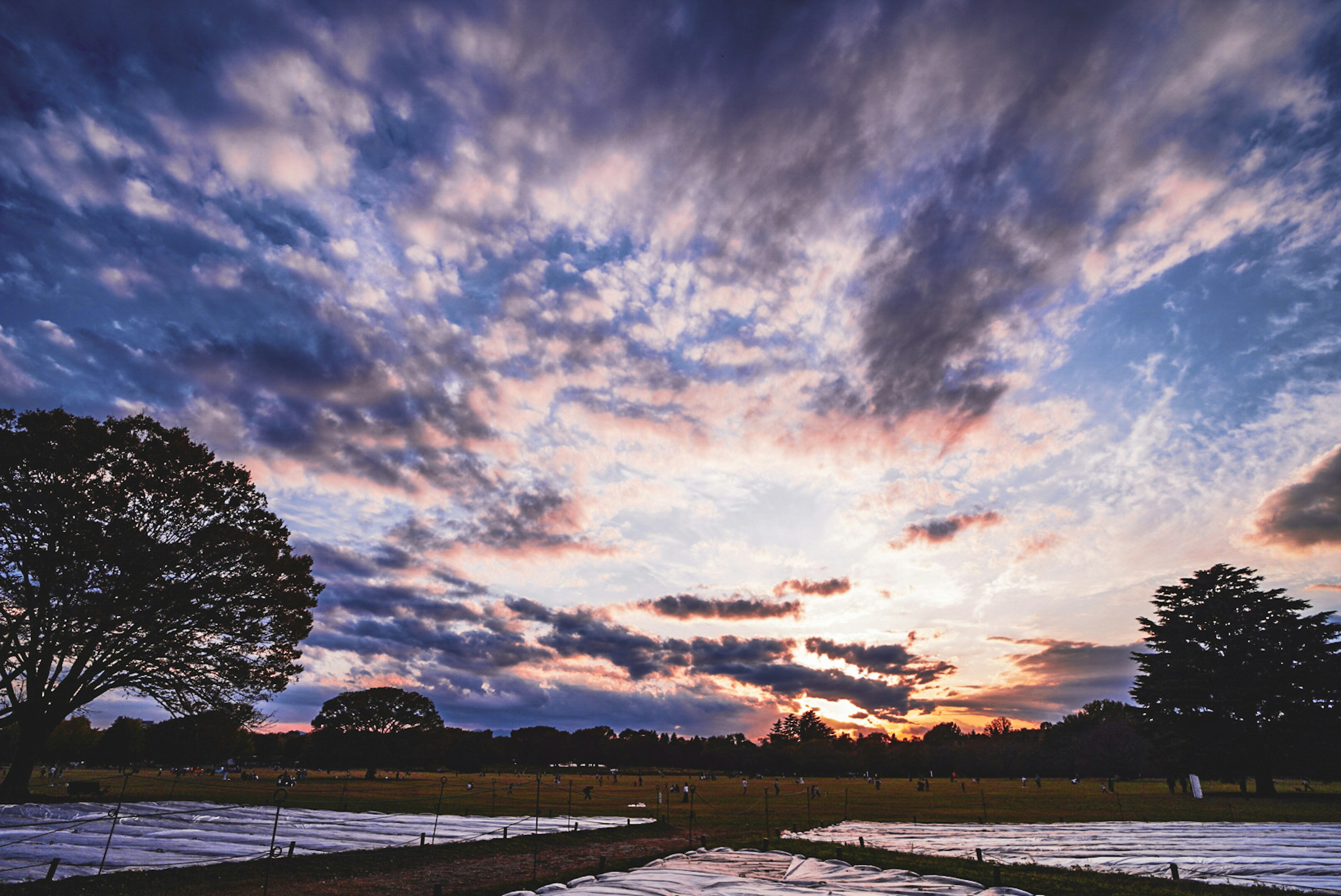 夕焼けの空と雲が広がる風景