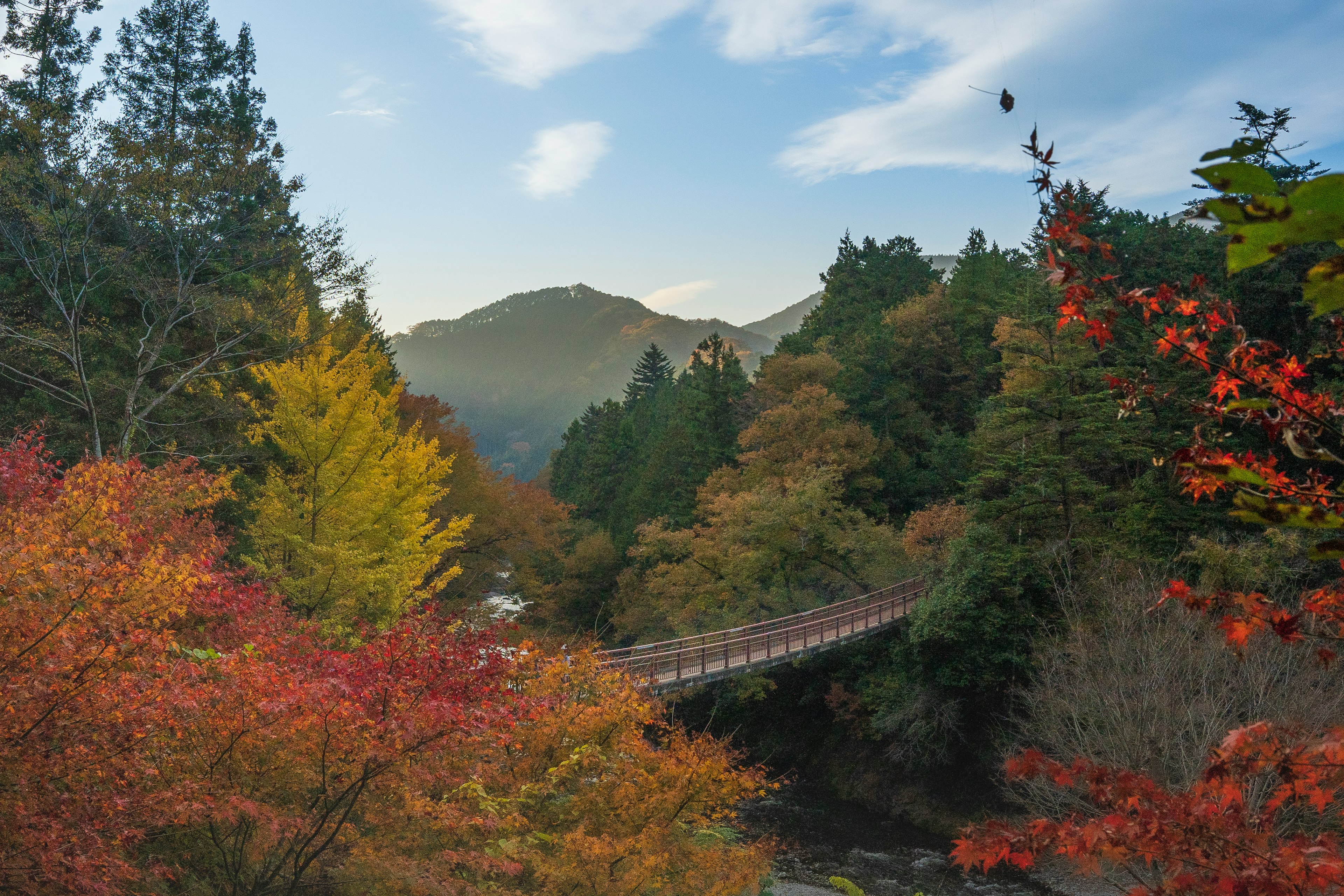 Schöne Herbstlandschaft mit einer Brücke und bunten Bäumen