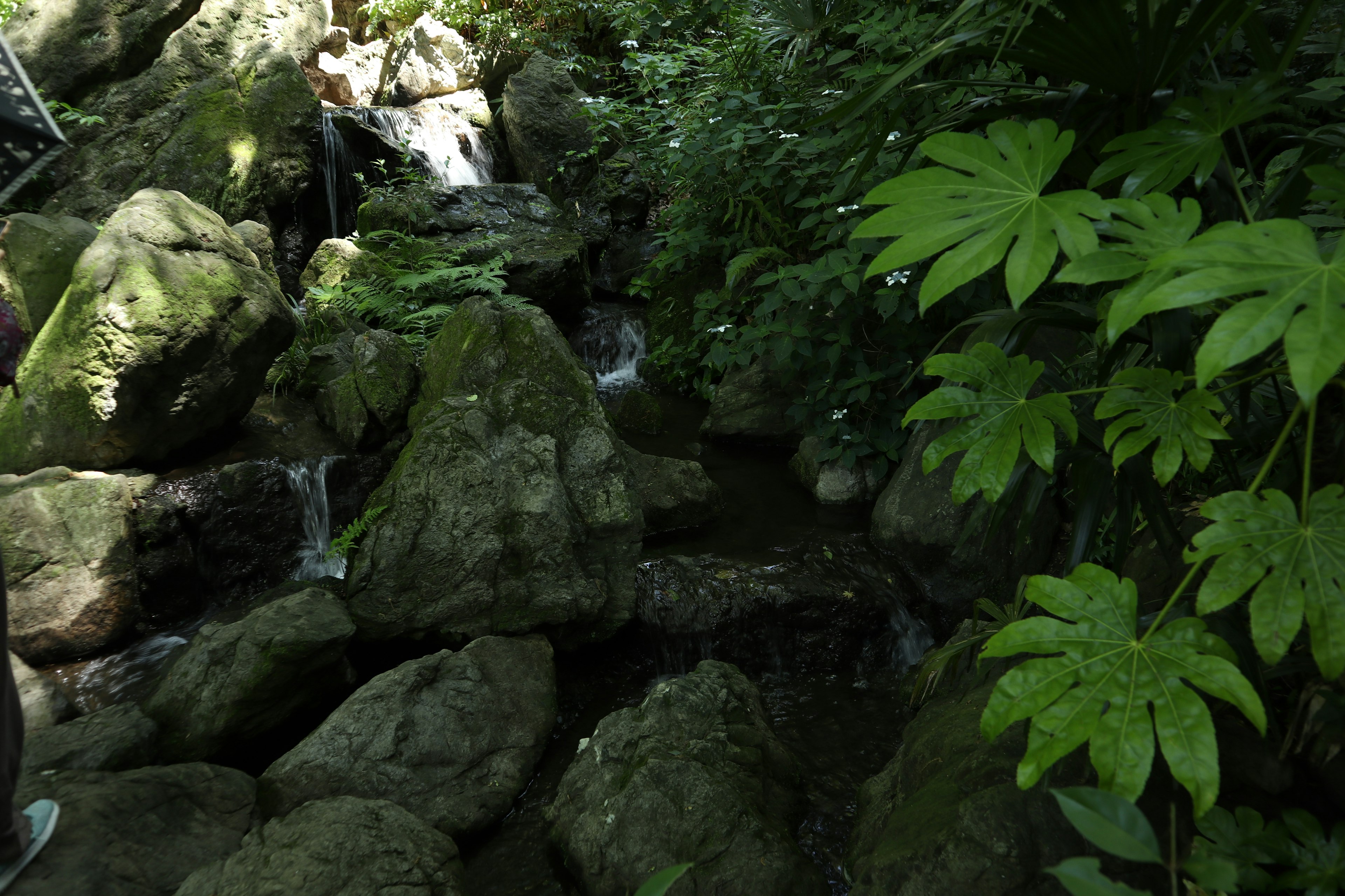 A stream running through a lush green environment with rocks