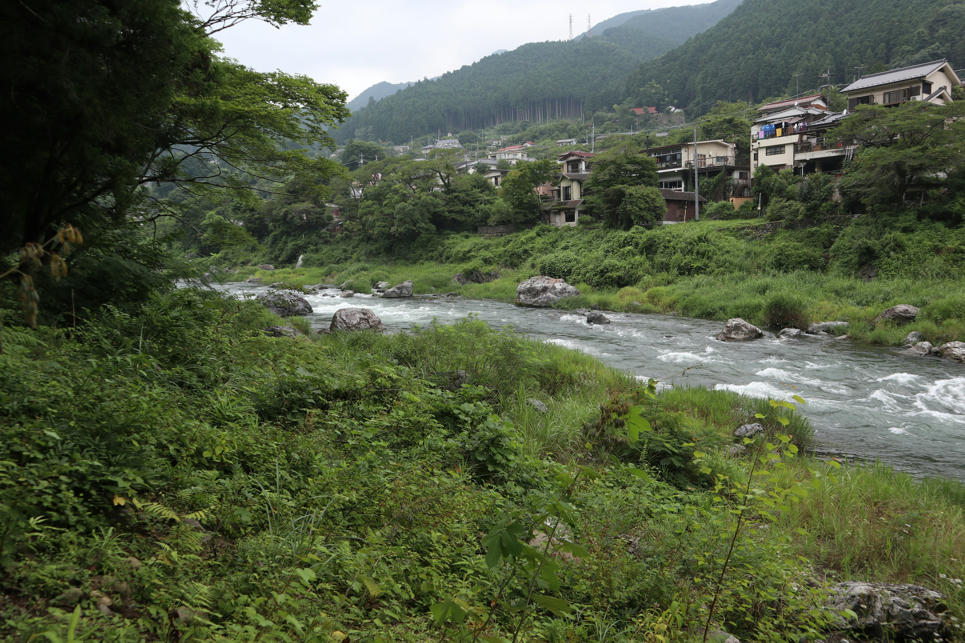 Scenic view of a river flowing through lush greenery with houses nestled in the mountains