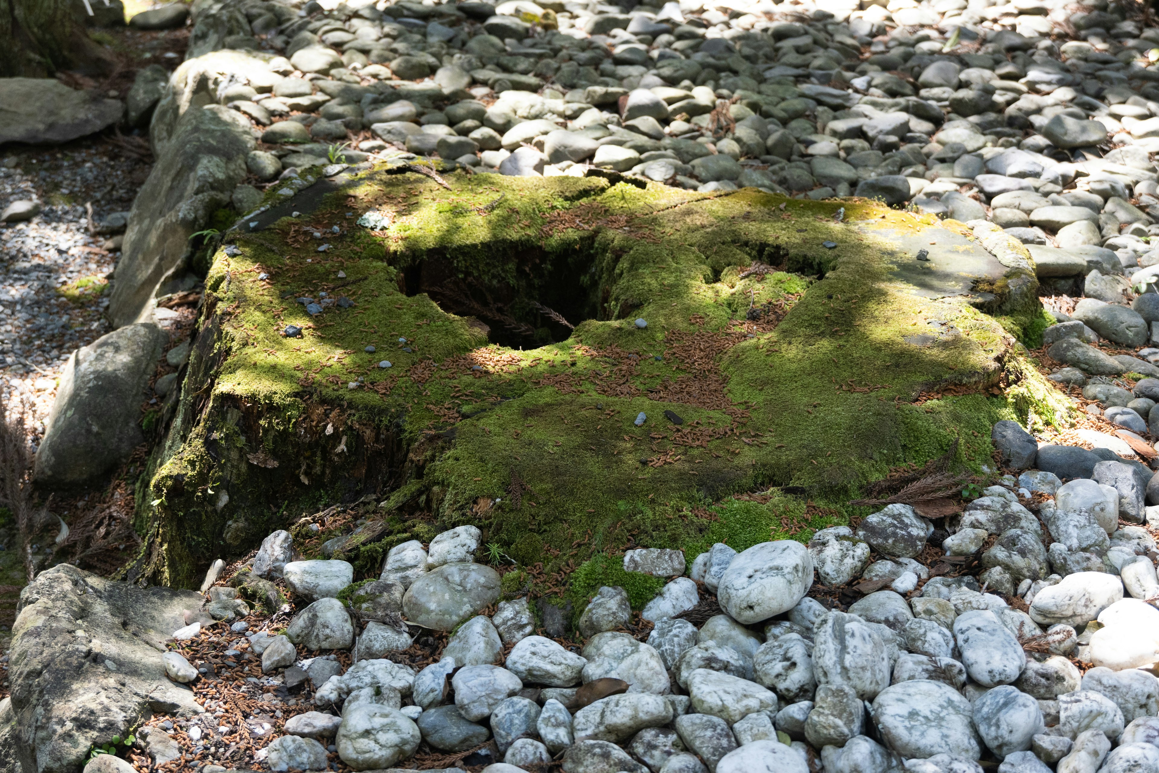 Moss-covered stone with a hole surrounded by small pebbles