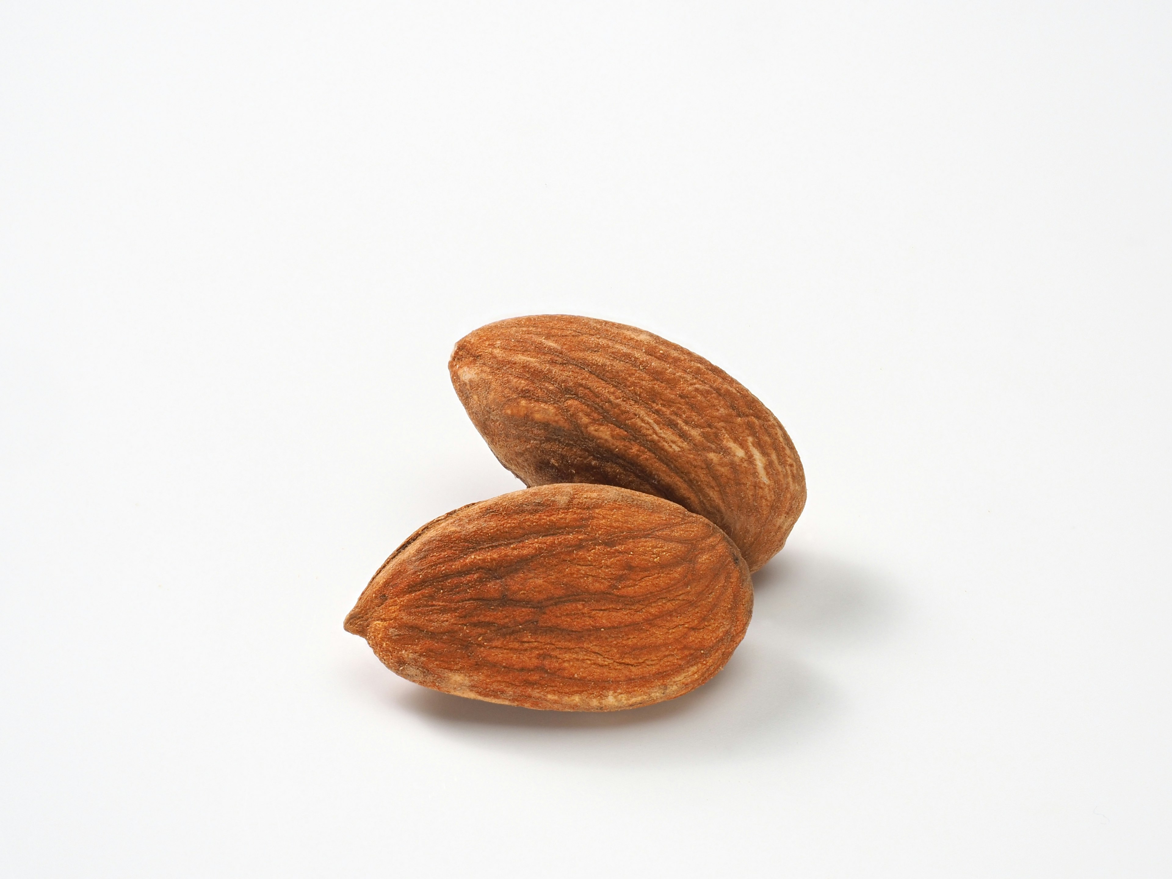 Two almonds placed on a white background