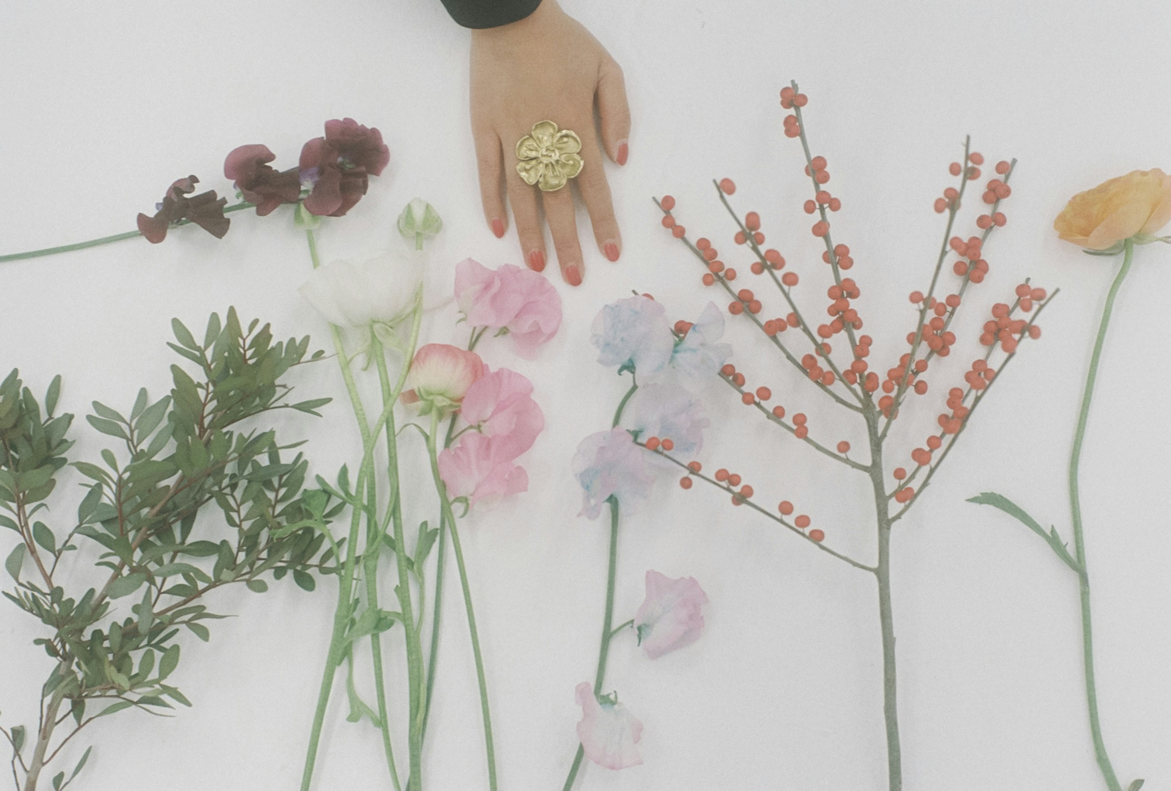 Una mano reposando sobre varias flores dispuestas en un fondo blanco