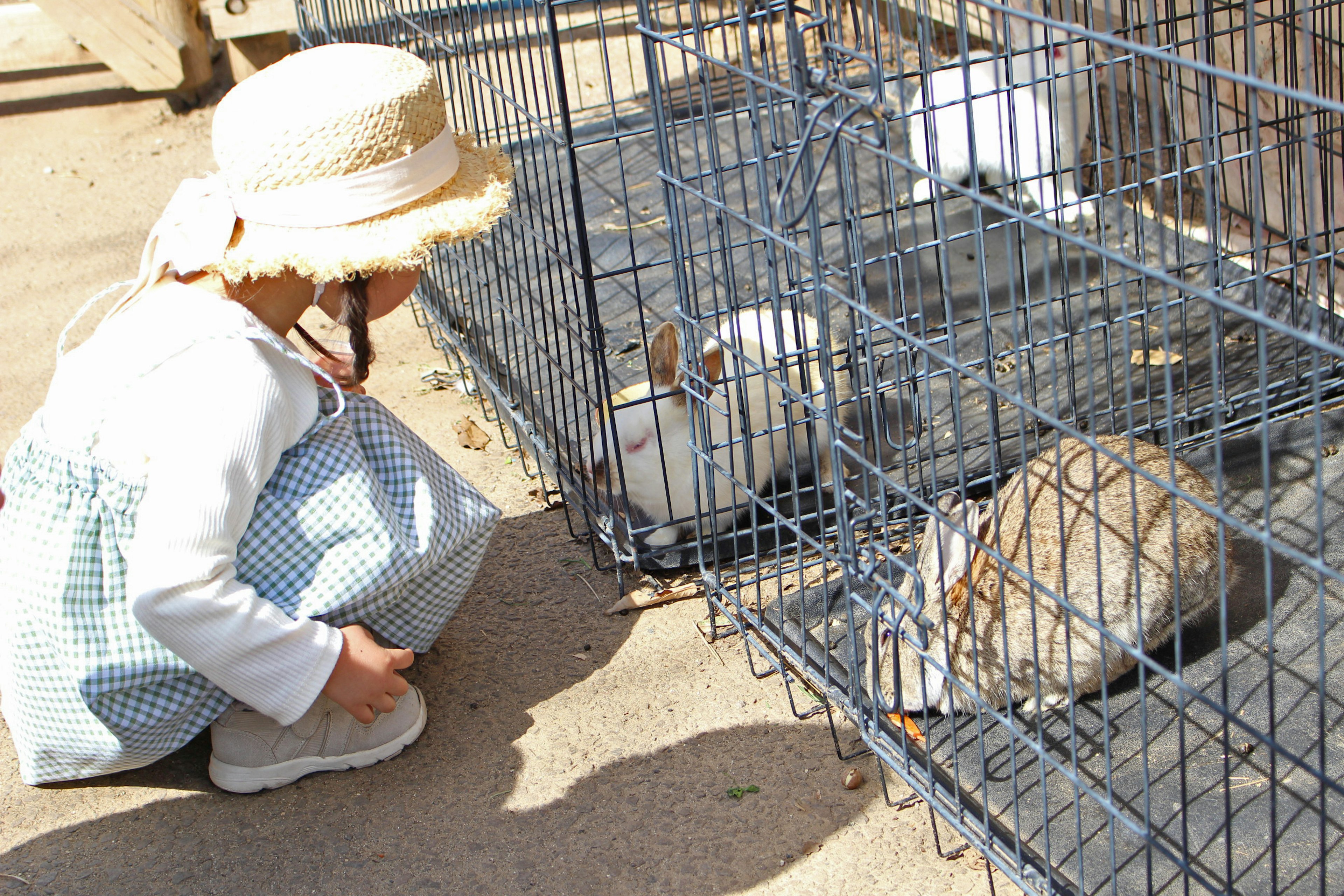 A child crouching in front of rabbit cages