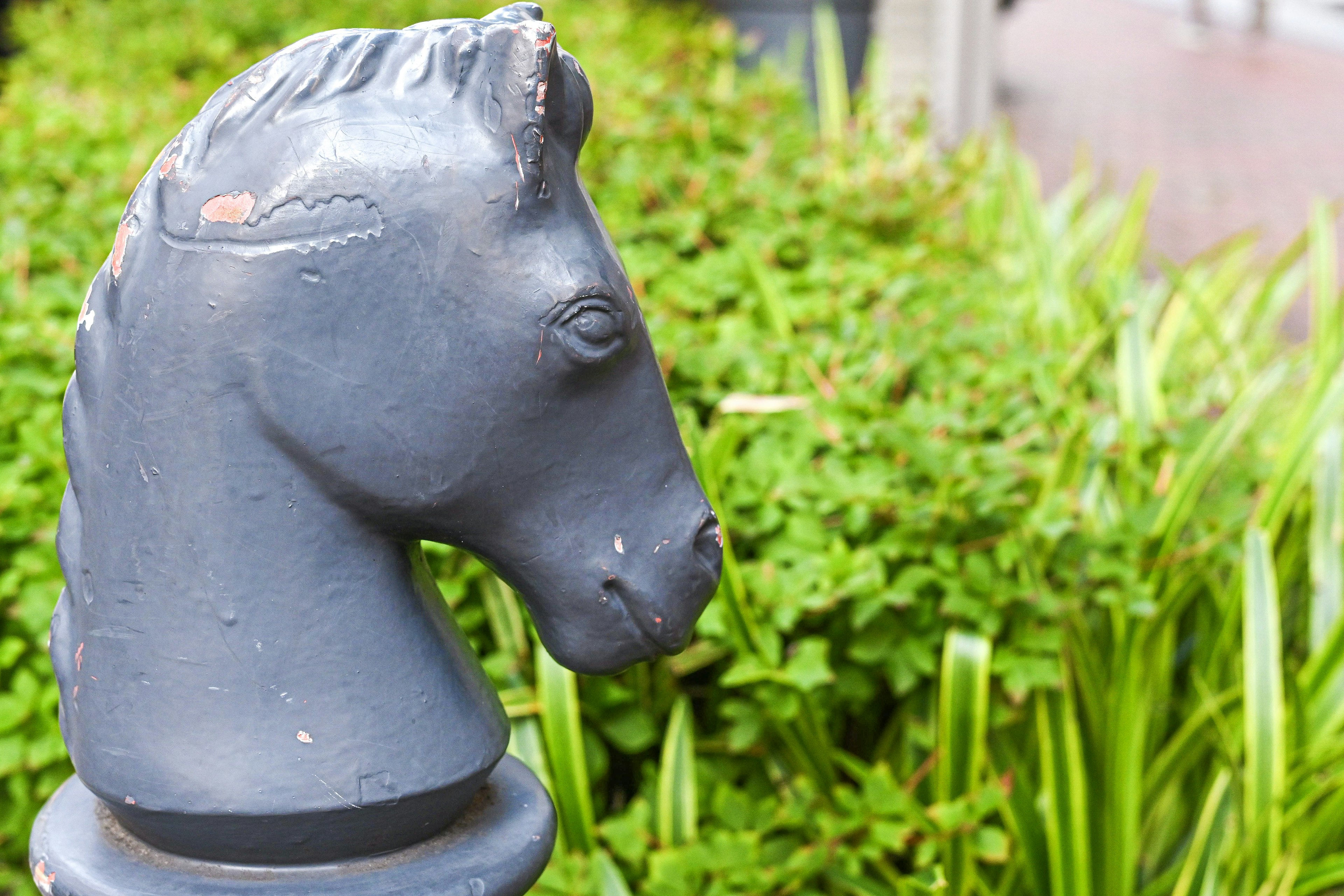 Une sculpture de tête de cheval noir devant des plantes vertes