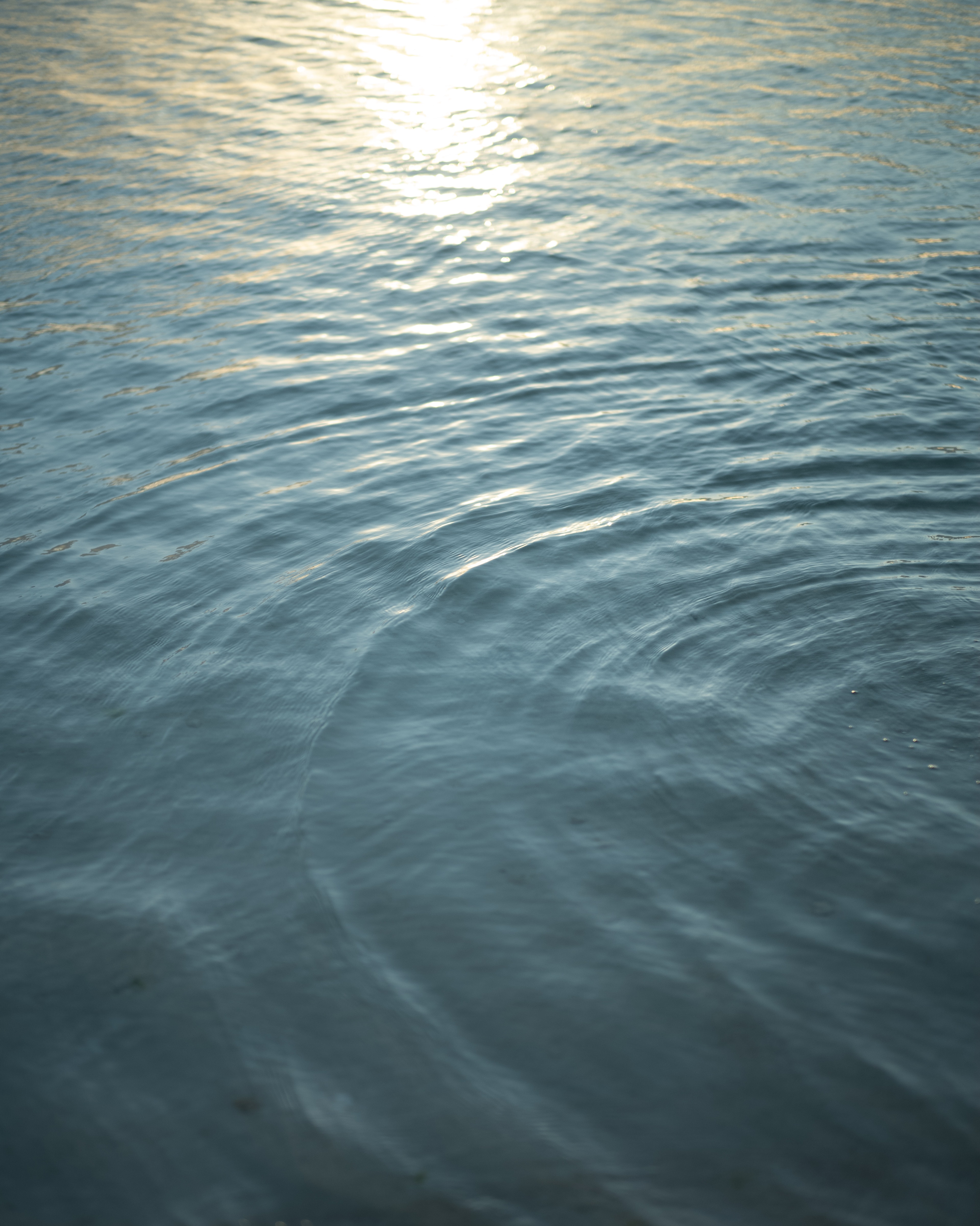 Calm water surface with ripples reflecting sunlight