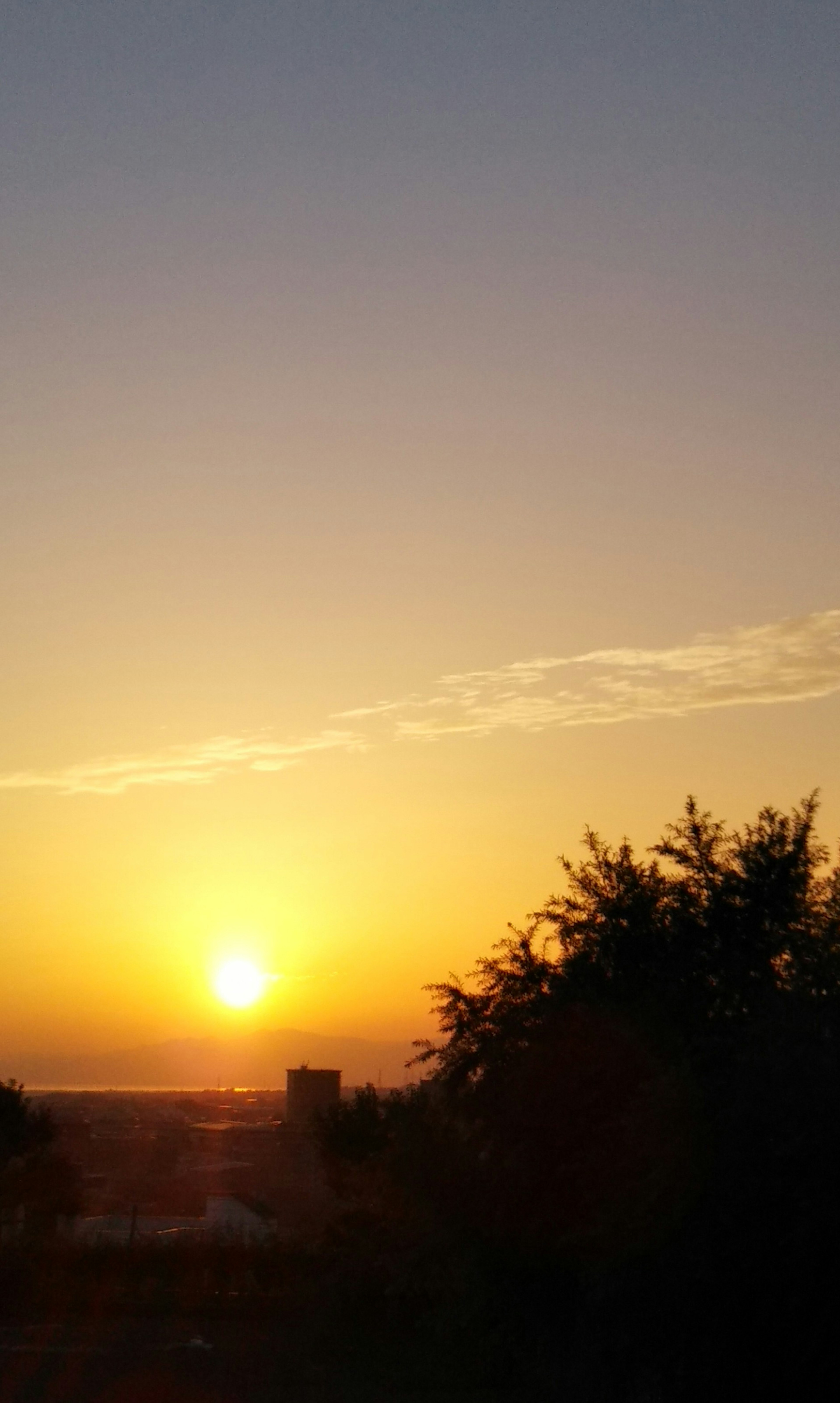 Hermoso paisaje con atardecer y silueta de árboles