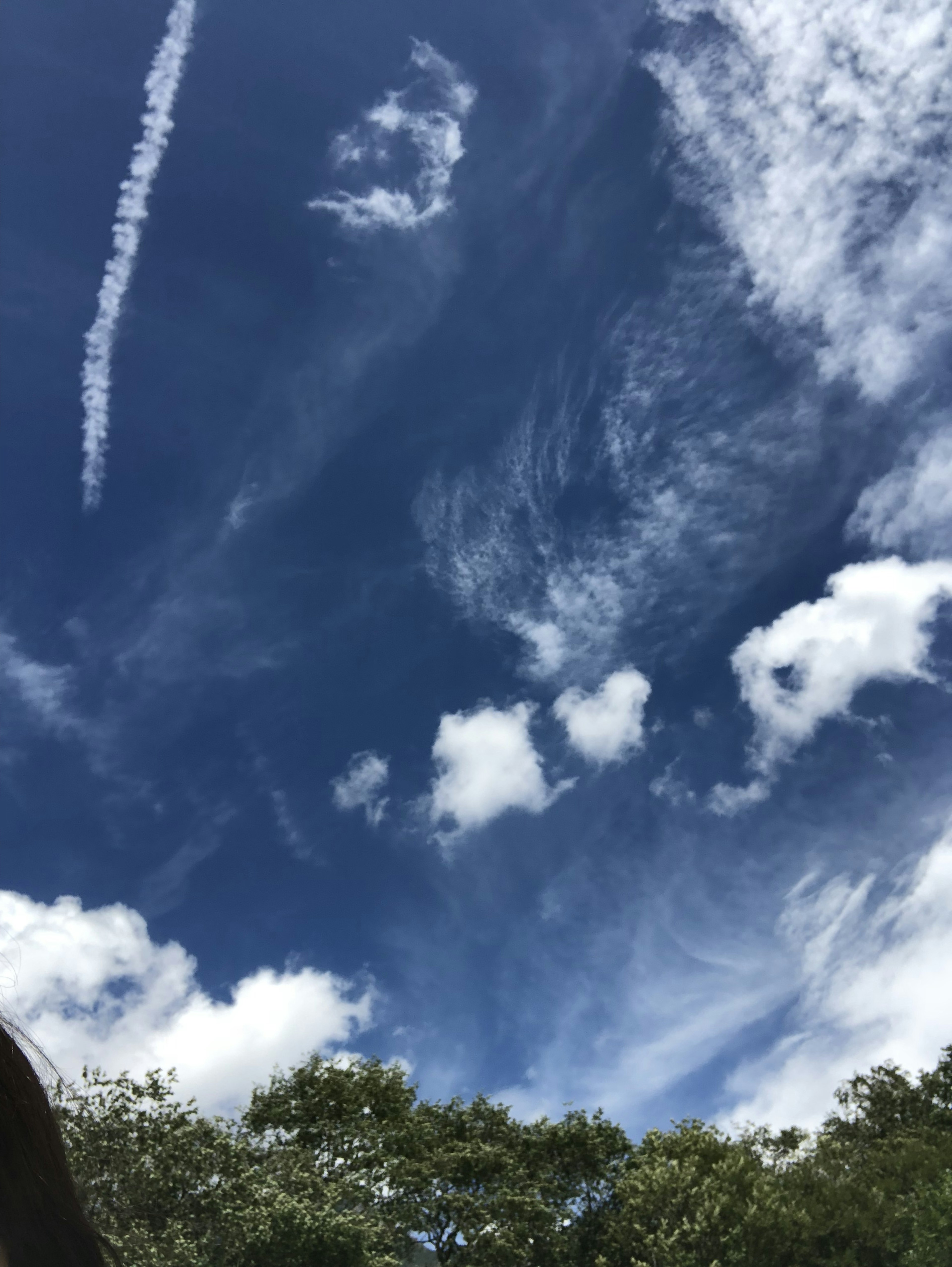 青空に白い雲と飛行機雲が広がる風景