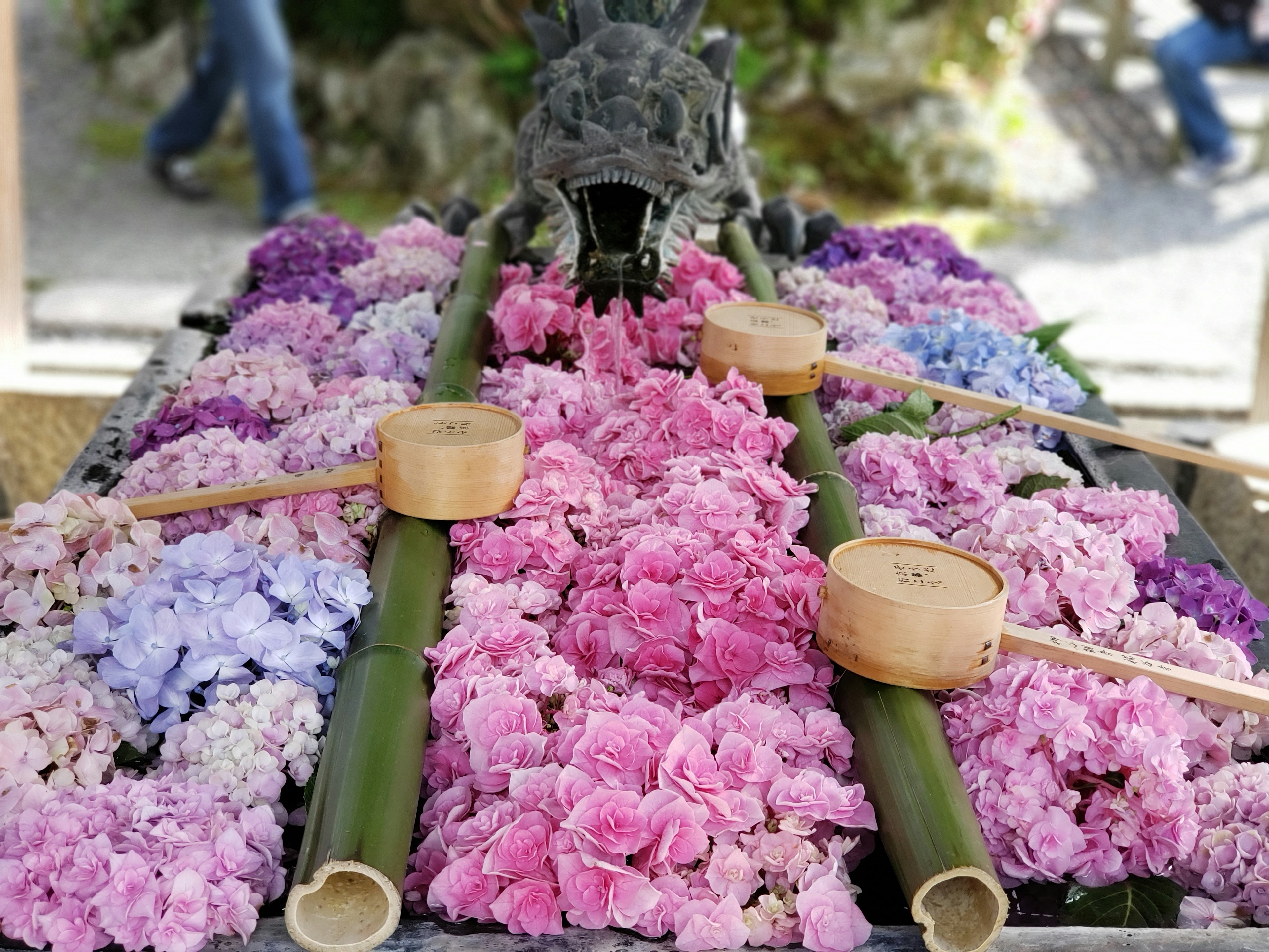 Una exhibición decorativa de flores coloridas dispuestas en una plataforma con recipientes de bambú