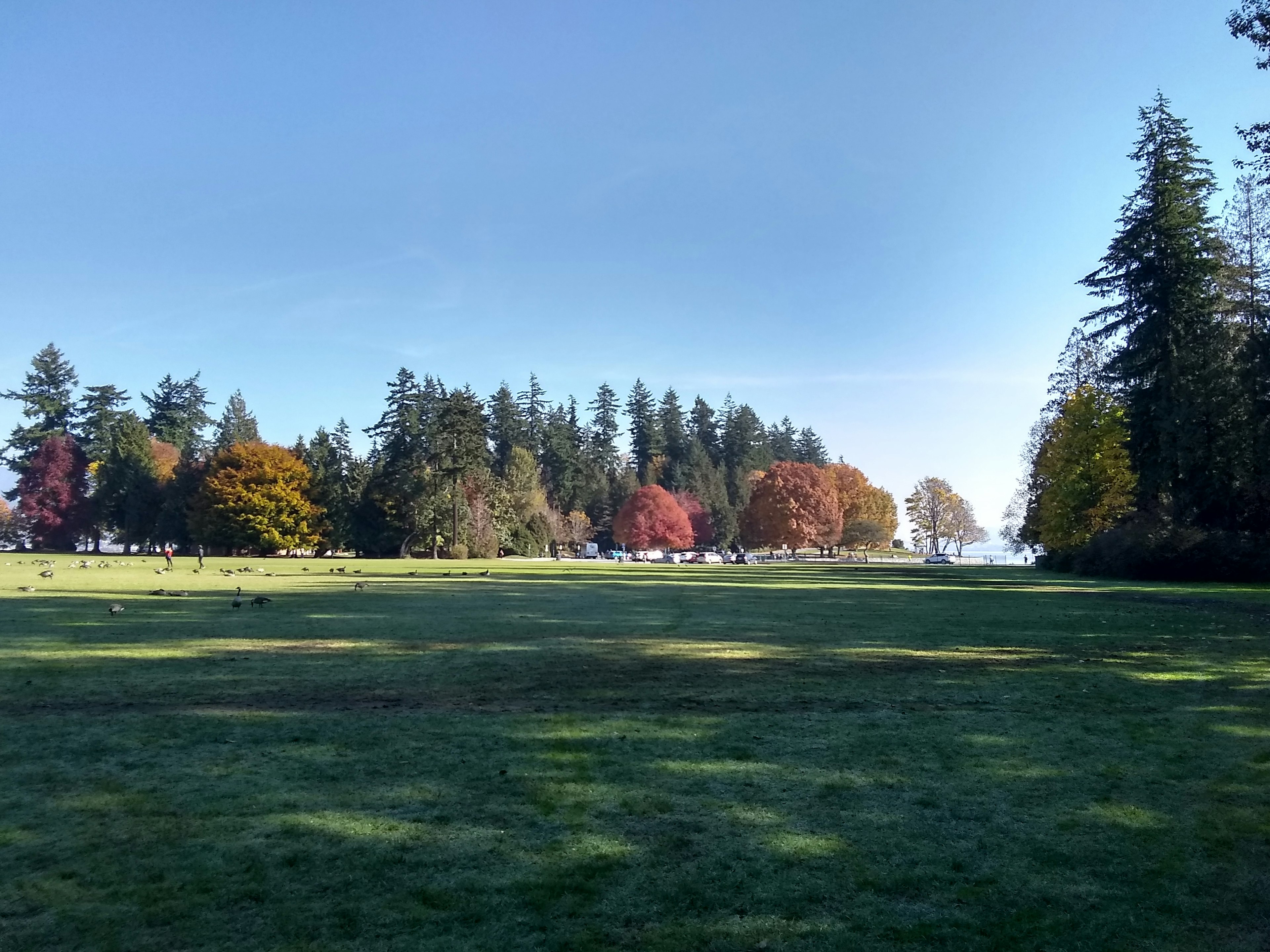 Un parque escénico con árboles coloridos en un día soleado