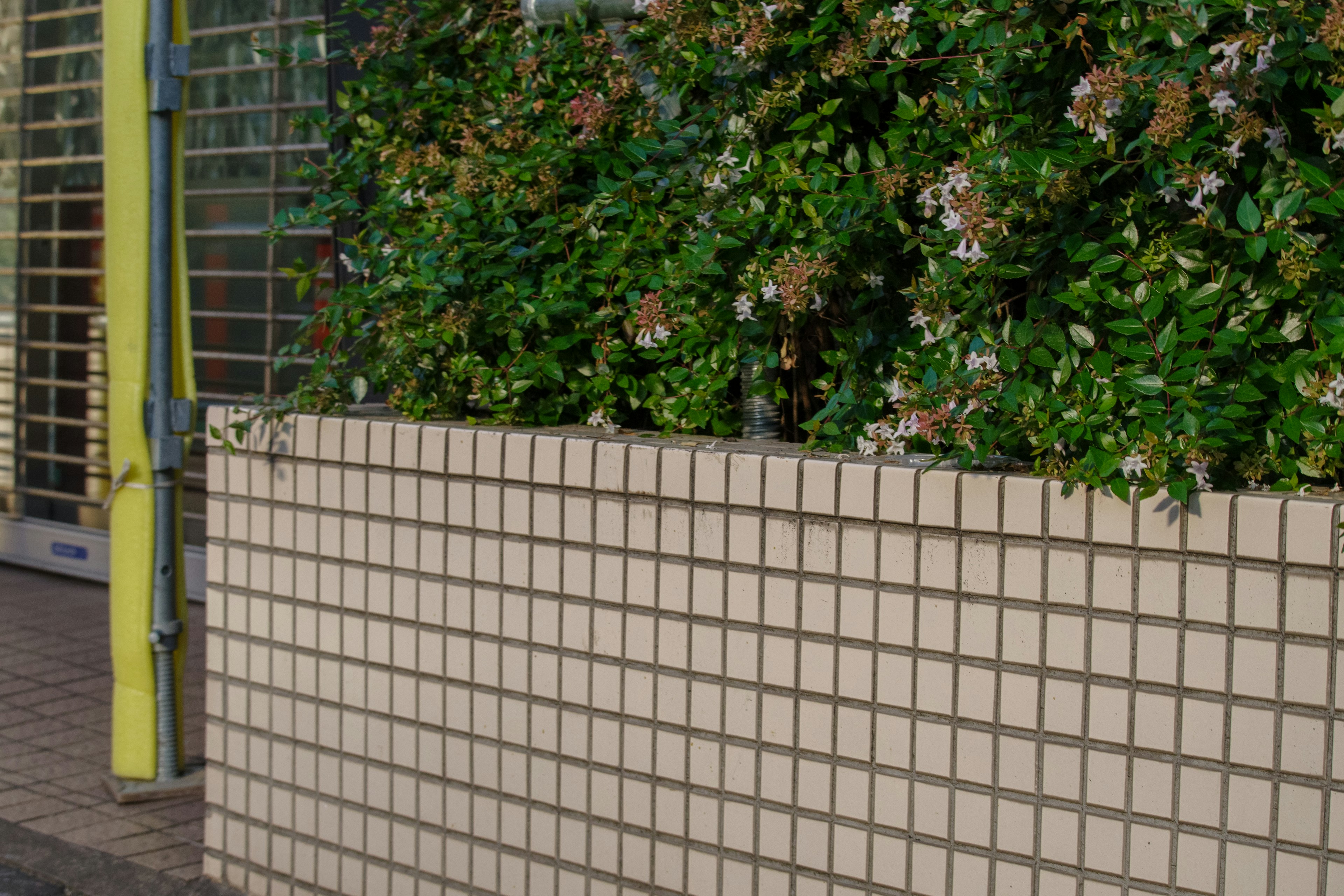 A tiled fence in front of lush green plants