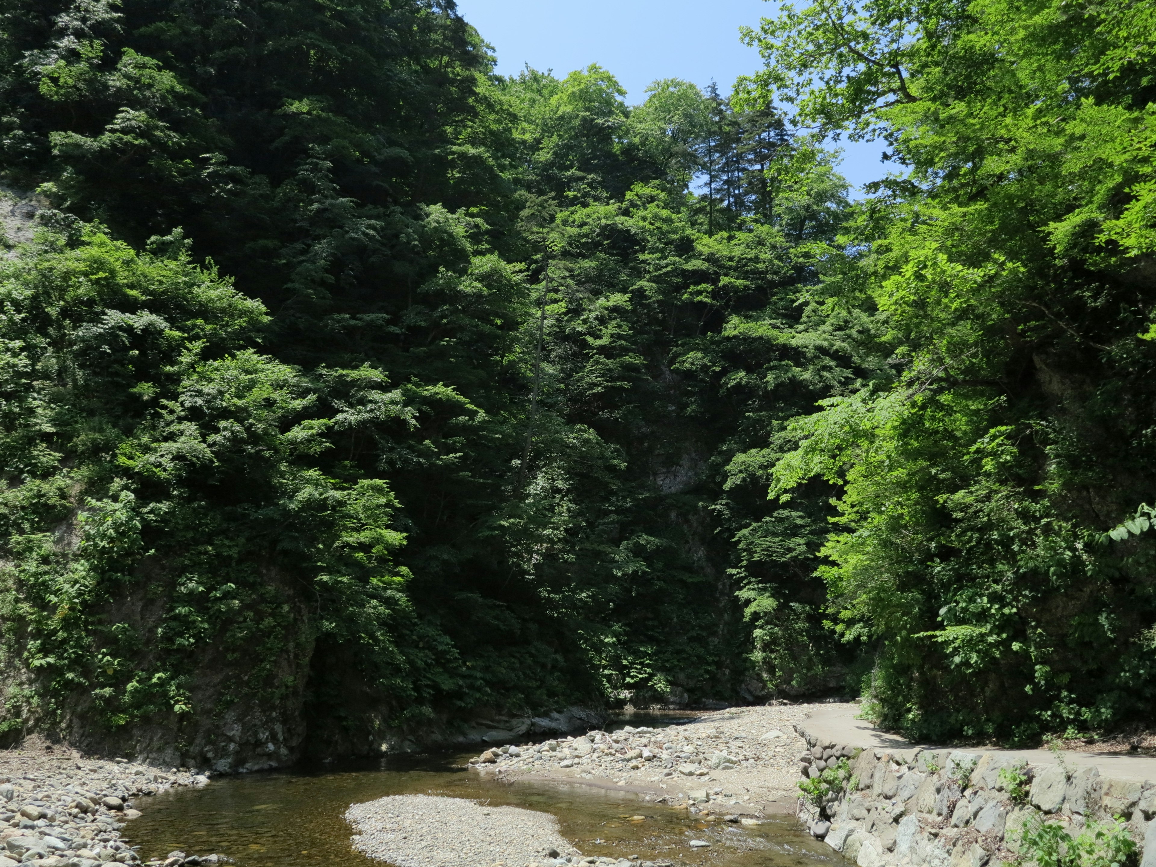 Malersicher Blick auf einen Bach, umgeben von üppigen grünen Bäumen