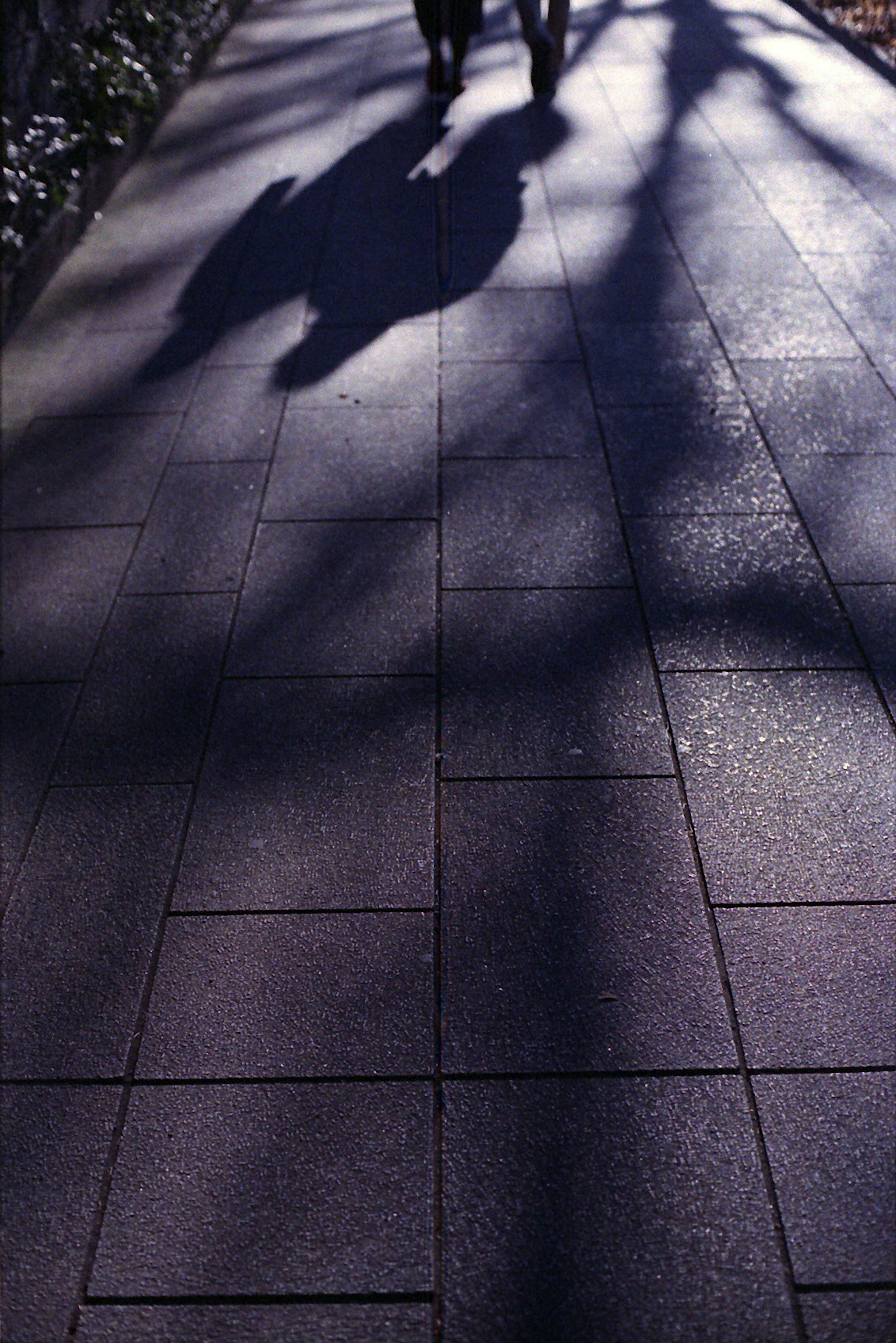 Silhouettes de personnes marchant sur un trottoir pavé avec des ombres