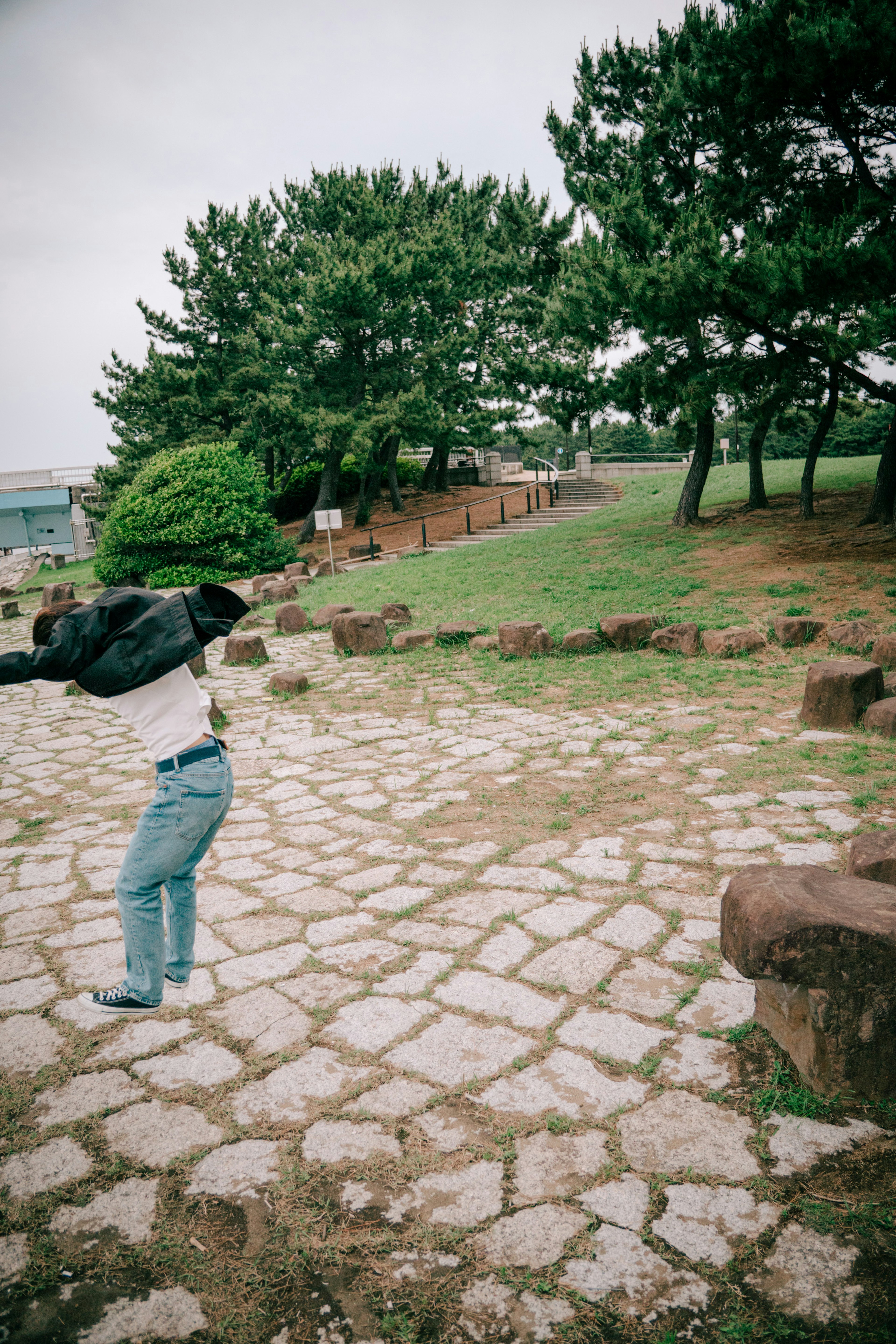 Una persona caminando por un camino de piedra rodeado de árboles verdes