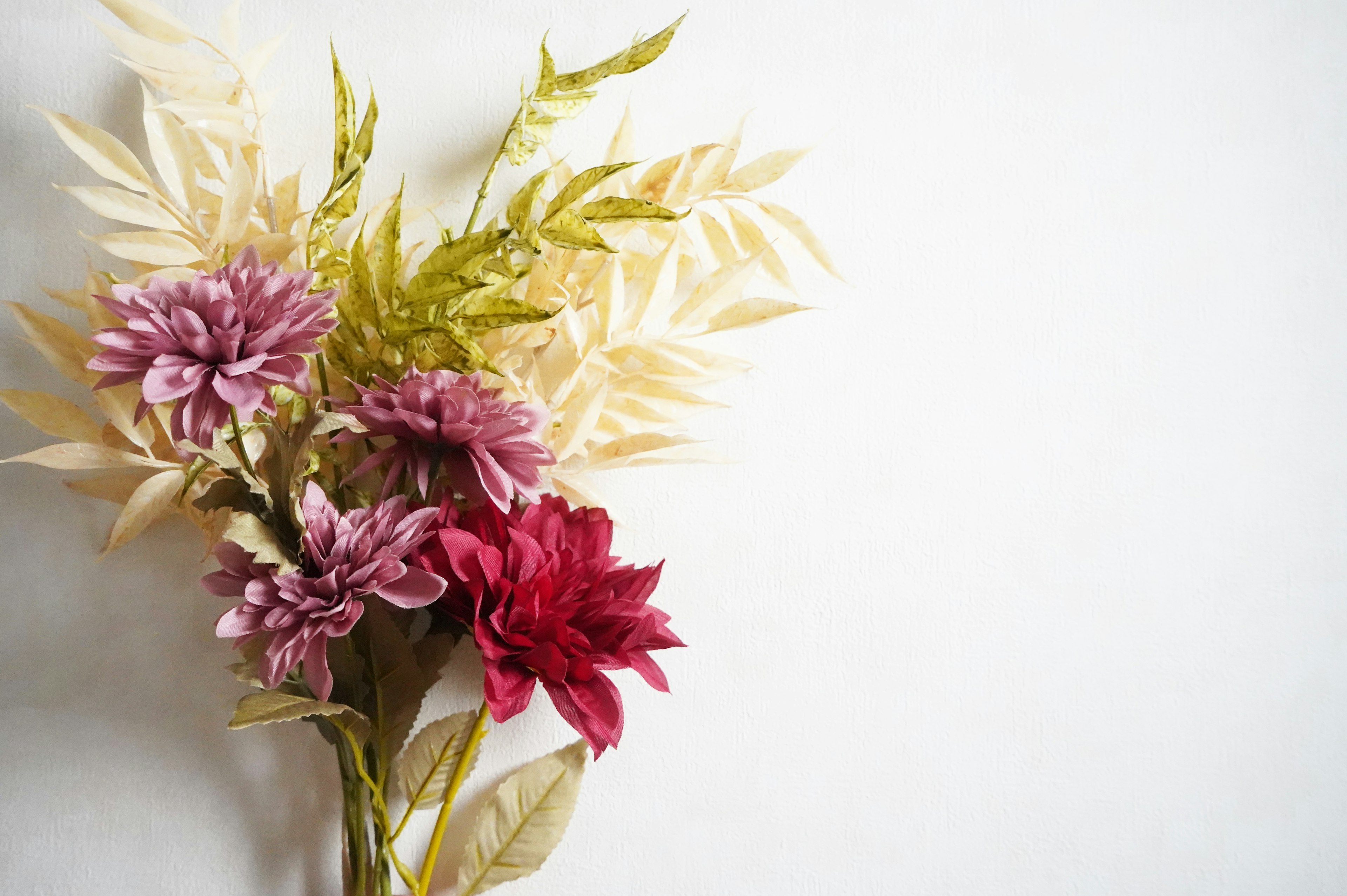 Composizione floreale colorata con fiori rosa e rossi e foglie verdi su sfondo bianco