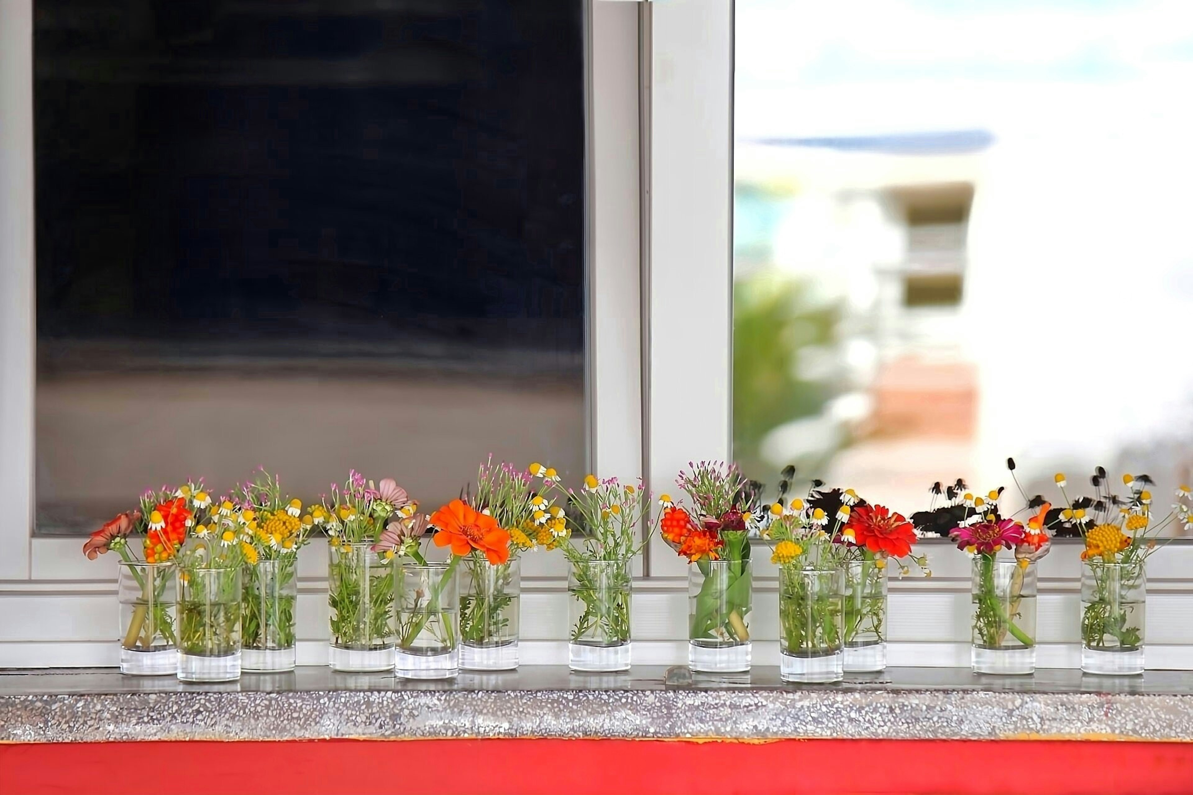 Colorful flowers in glass vases lined up on a window sill