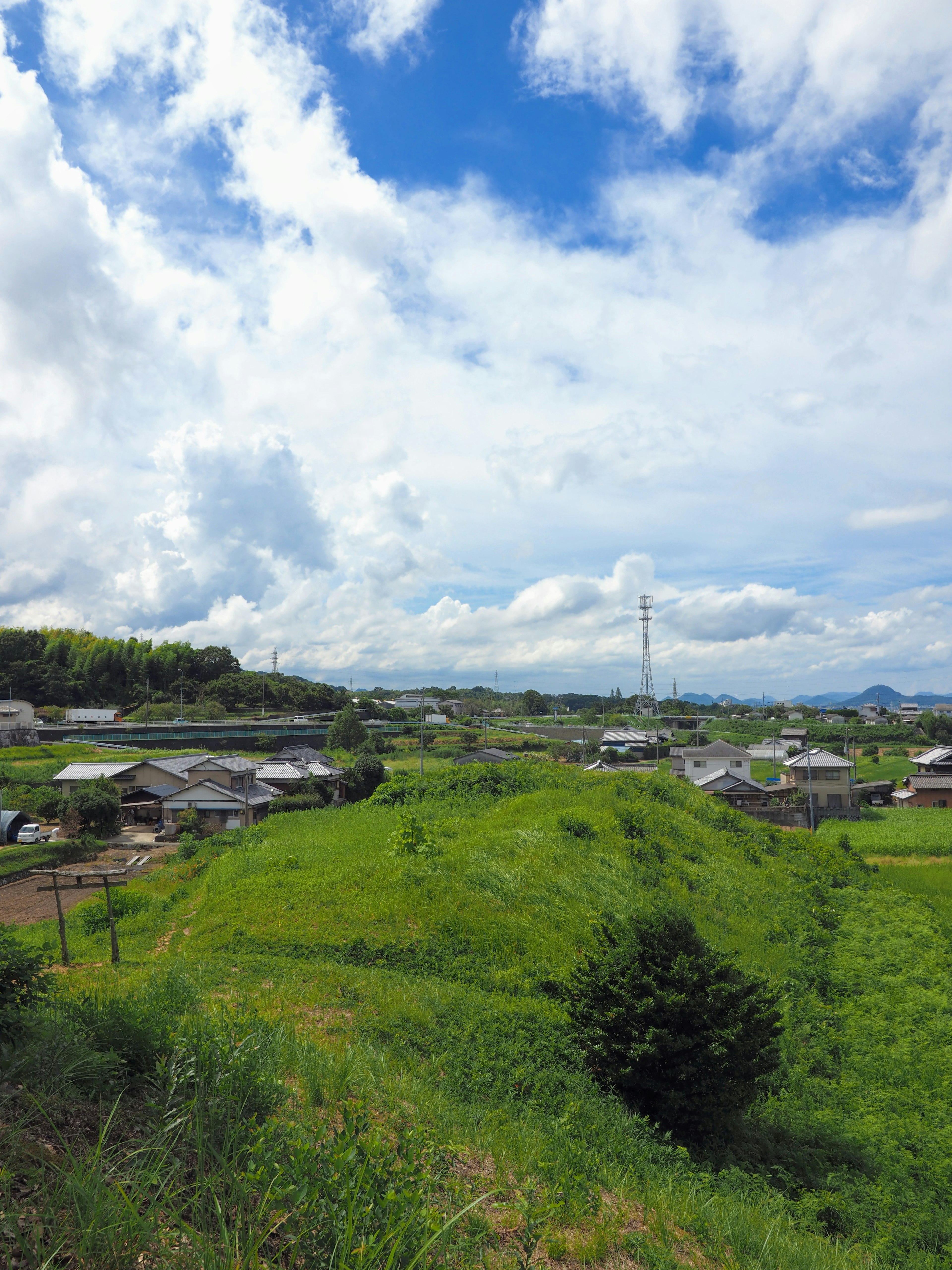 Ladang hijau subur di bawah langit biru dengan awan dan rumah