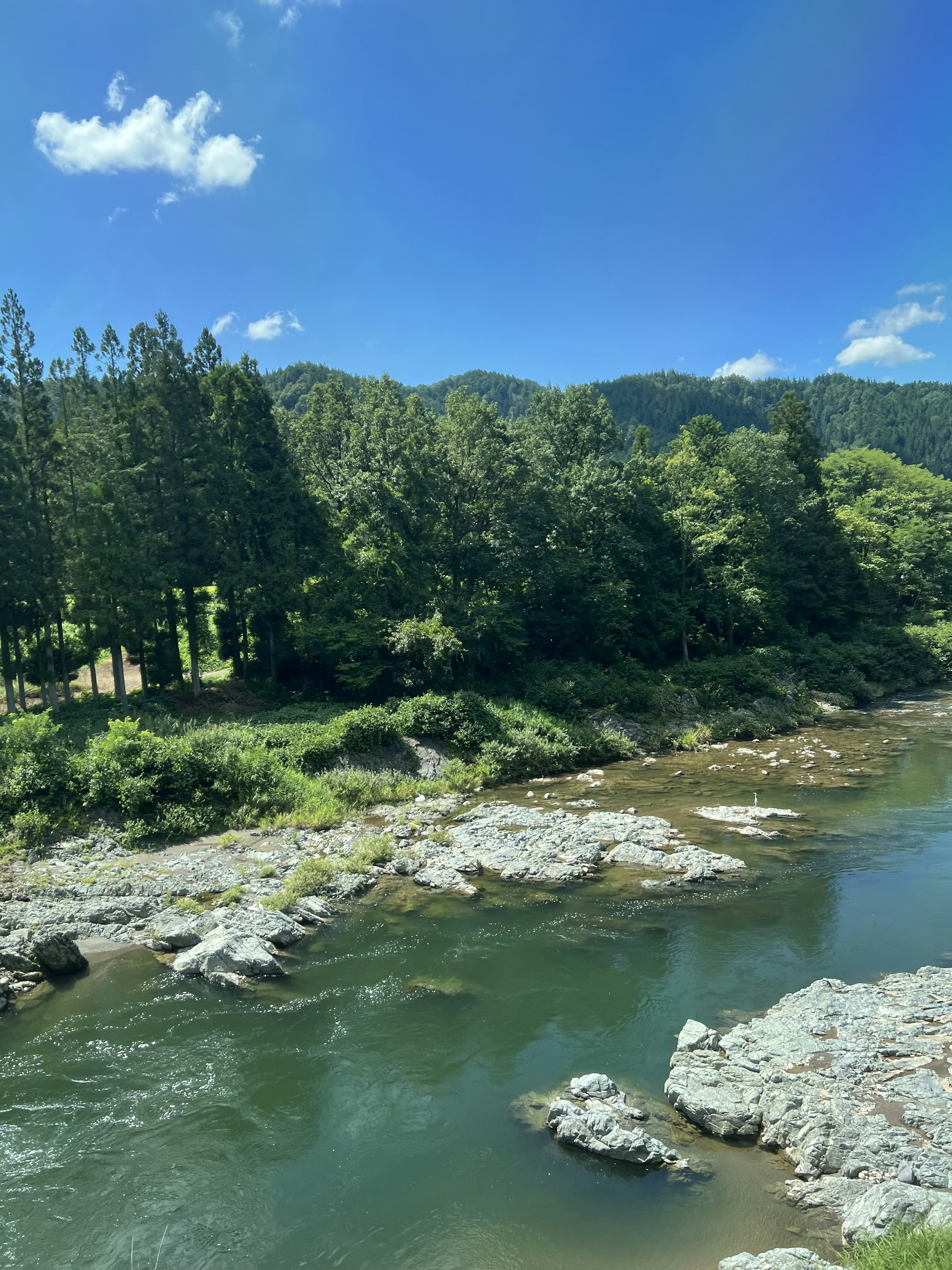 Scenic river landscape surrounded by green trees and blue sky