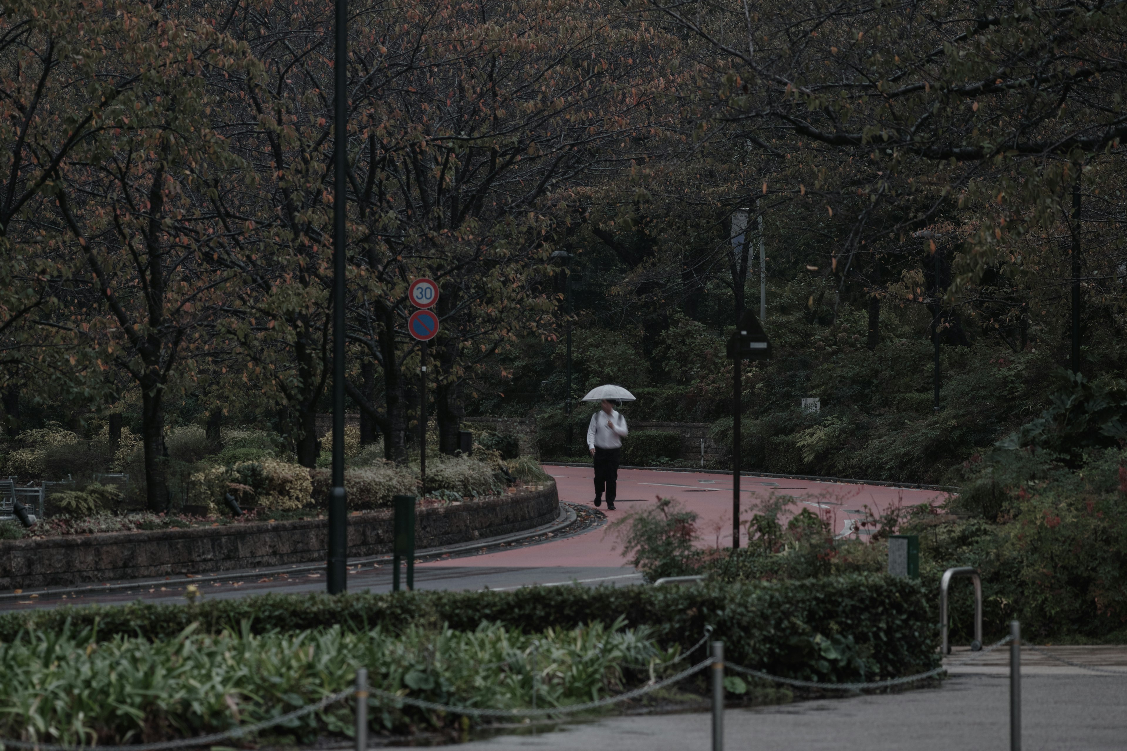 Una persona che cammina su un sentiero del parco con un ombrello