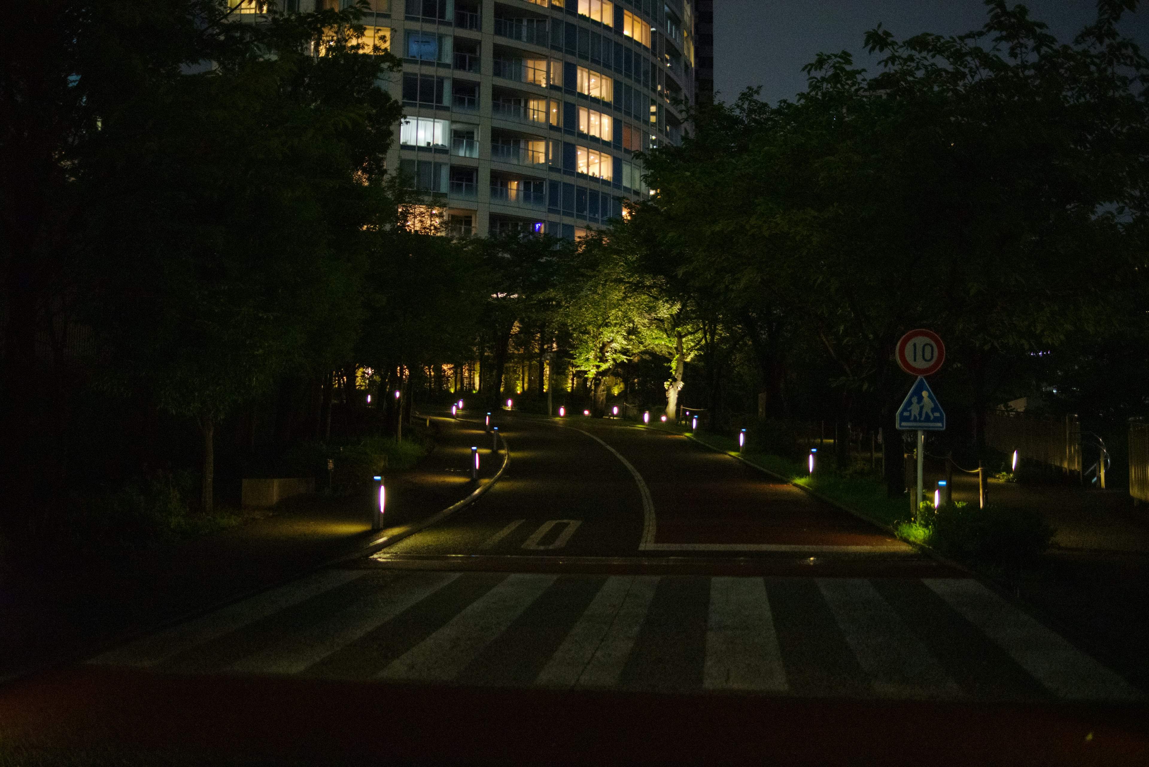 夜の公園の道に沿った照明と周囲の木々