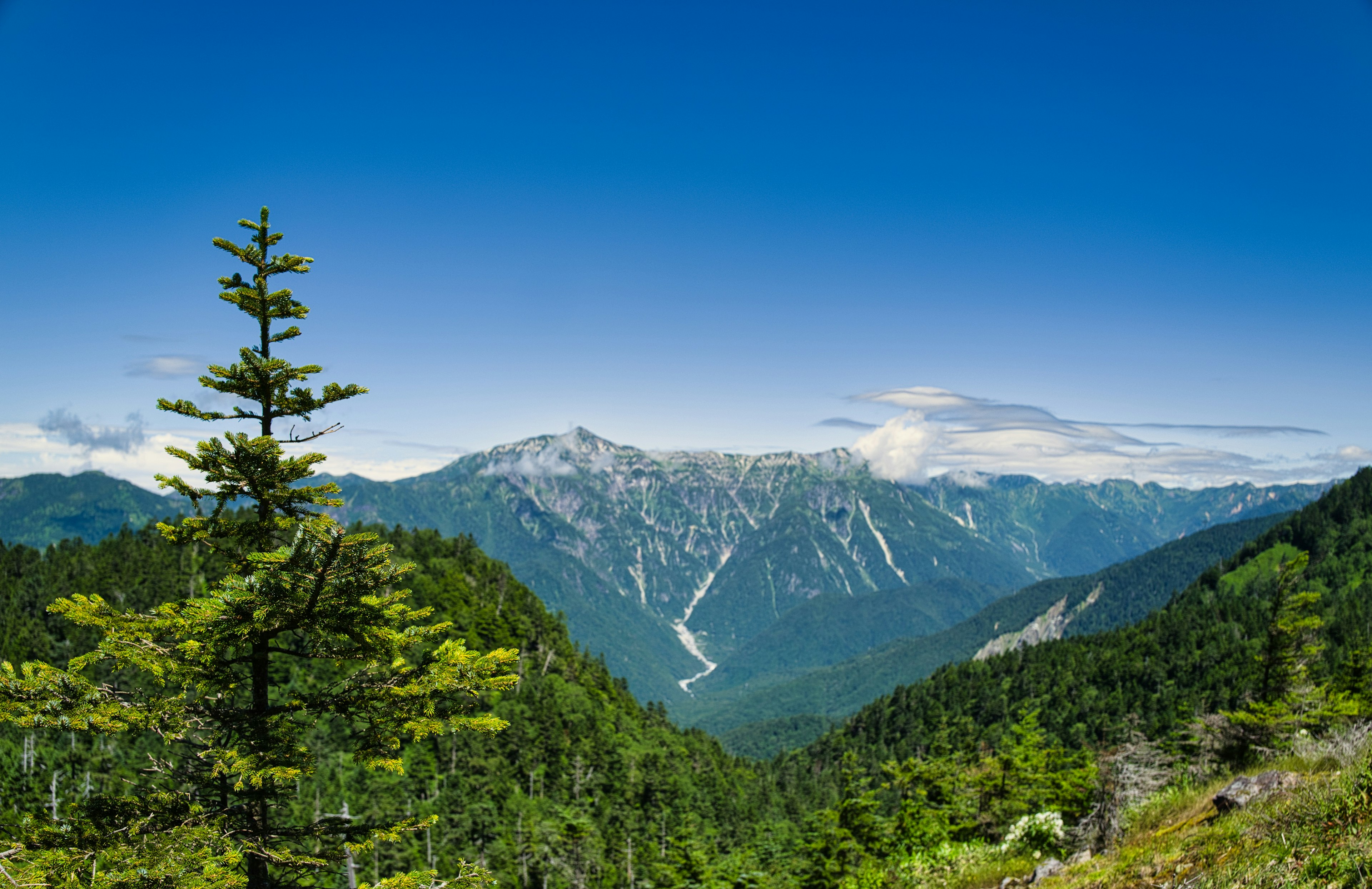 青空の下に広がる山脈と緑豊かな森林