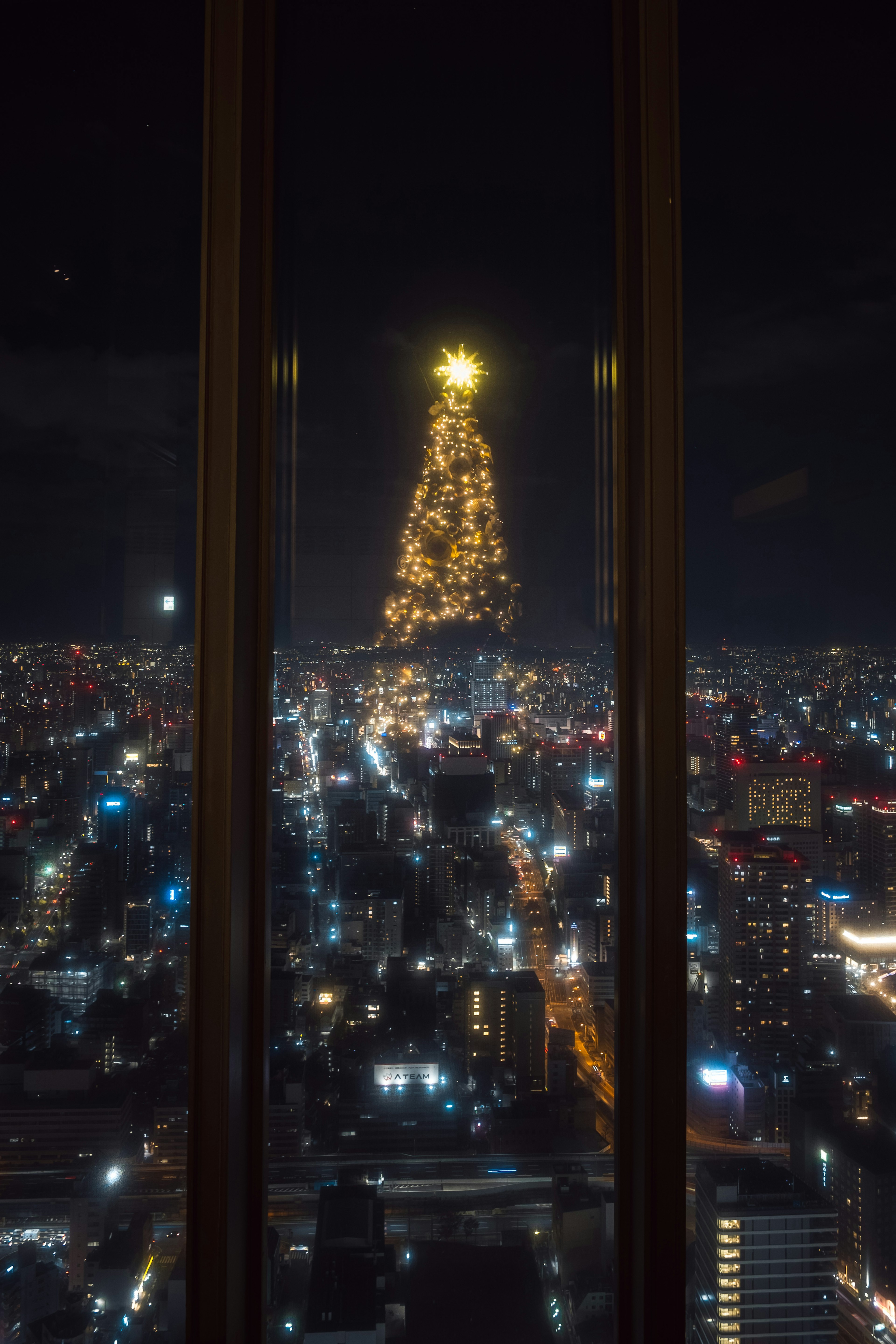 夜景とクリスマスツリーの美しい光景