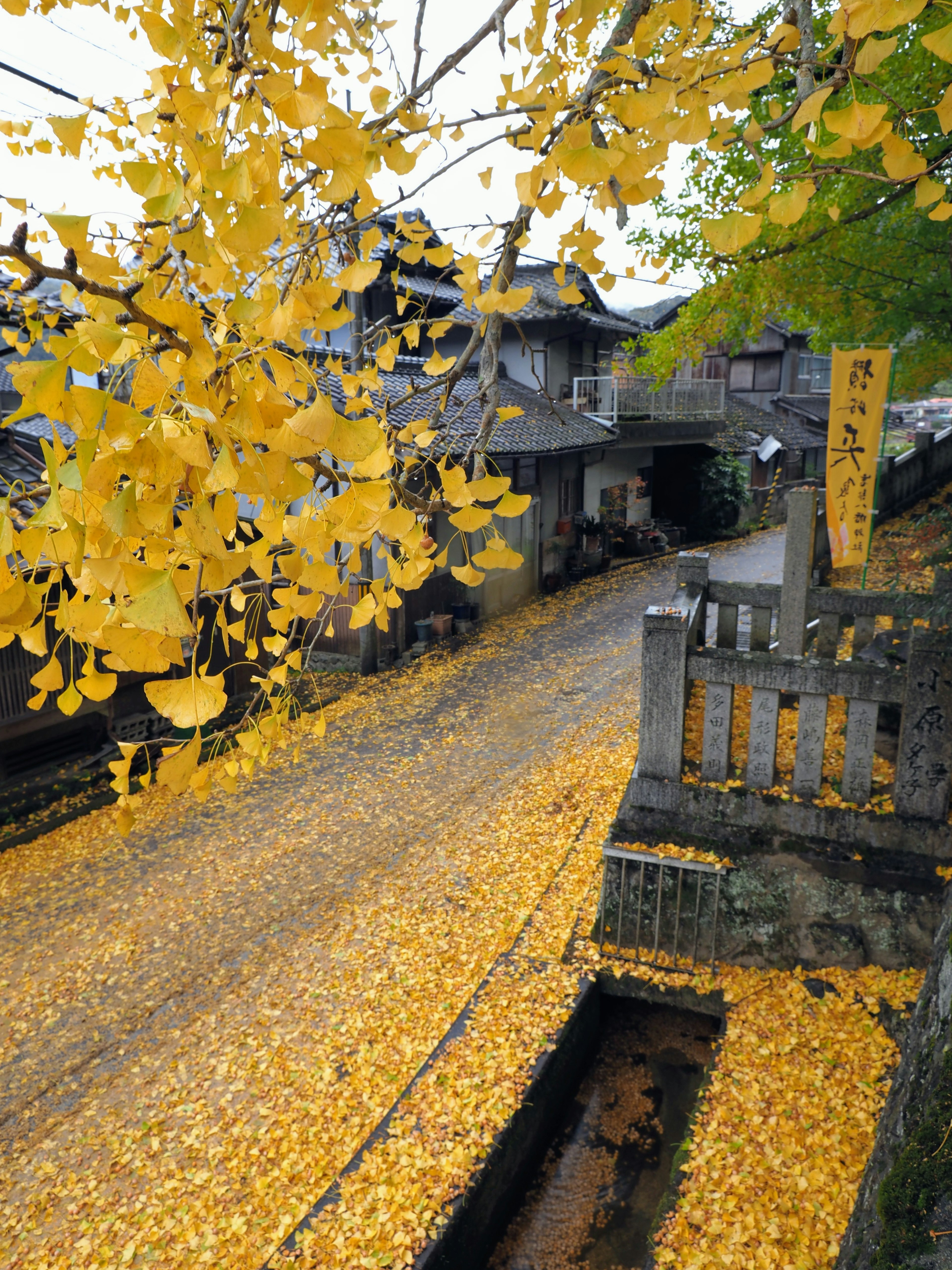 Camino cubierto de hojas de ginkgo amarillas y edificios tradicionales