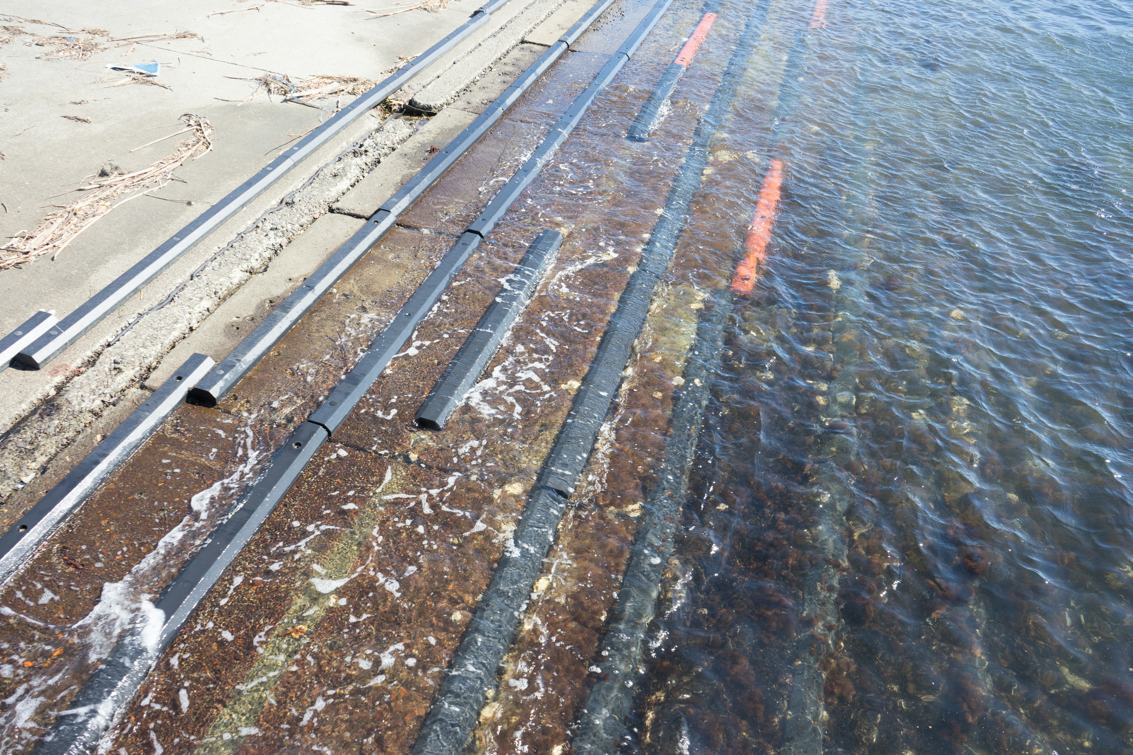 View of a beach with pipes and floating seaweed in the water