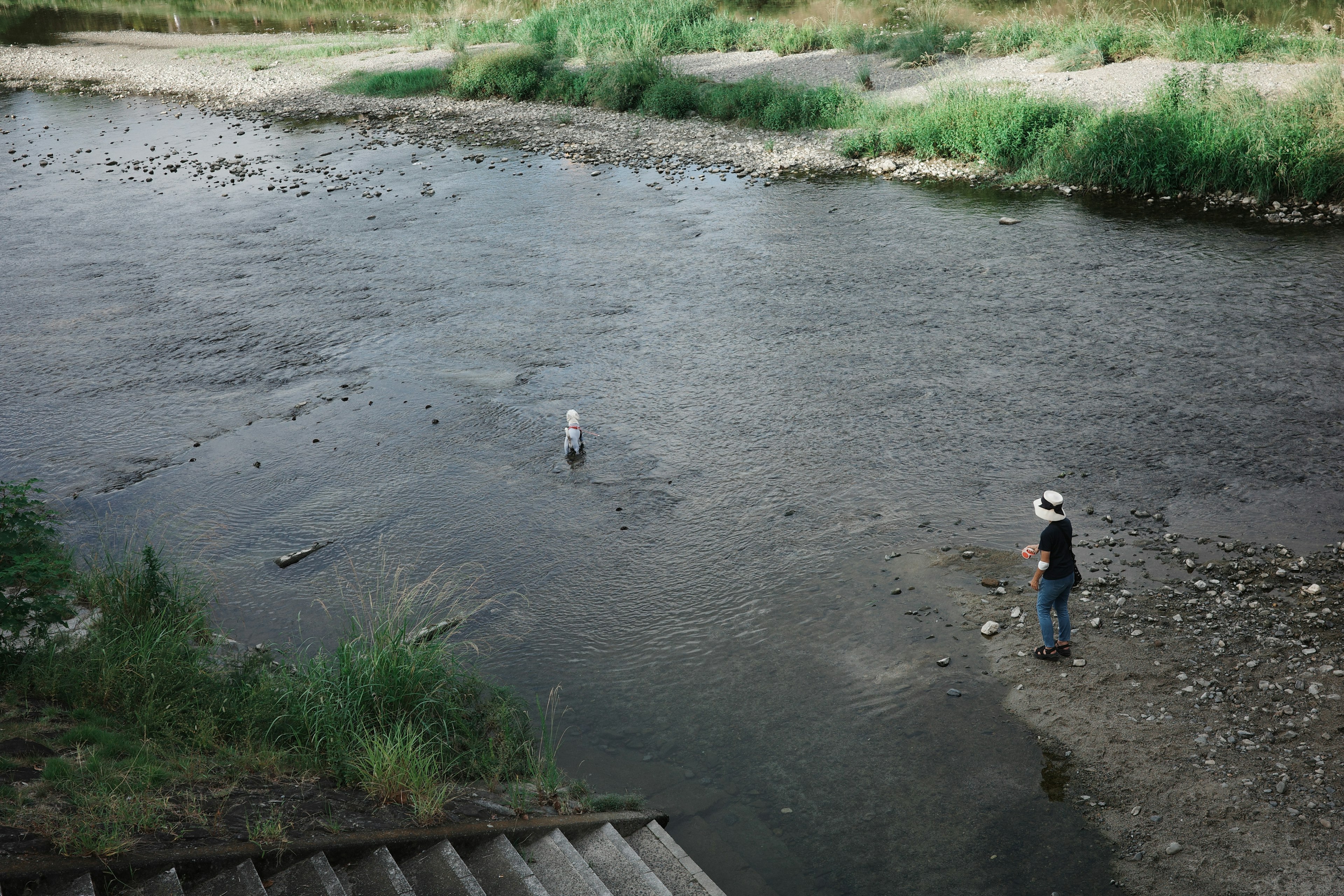 Una persona pescando en la orilla de un río rodeado de vegetación