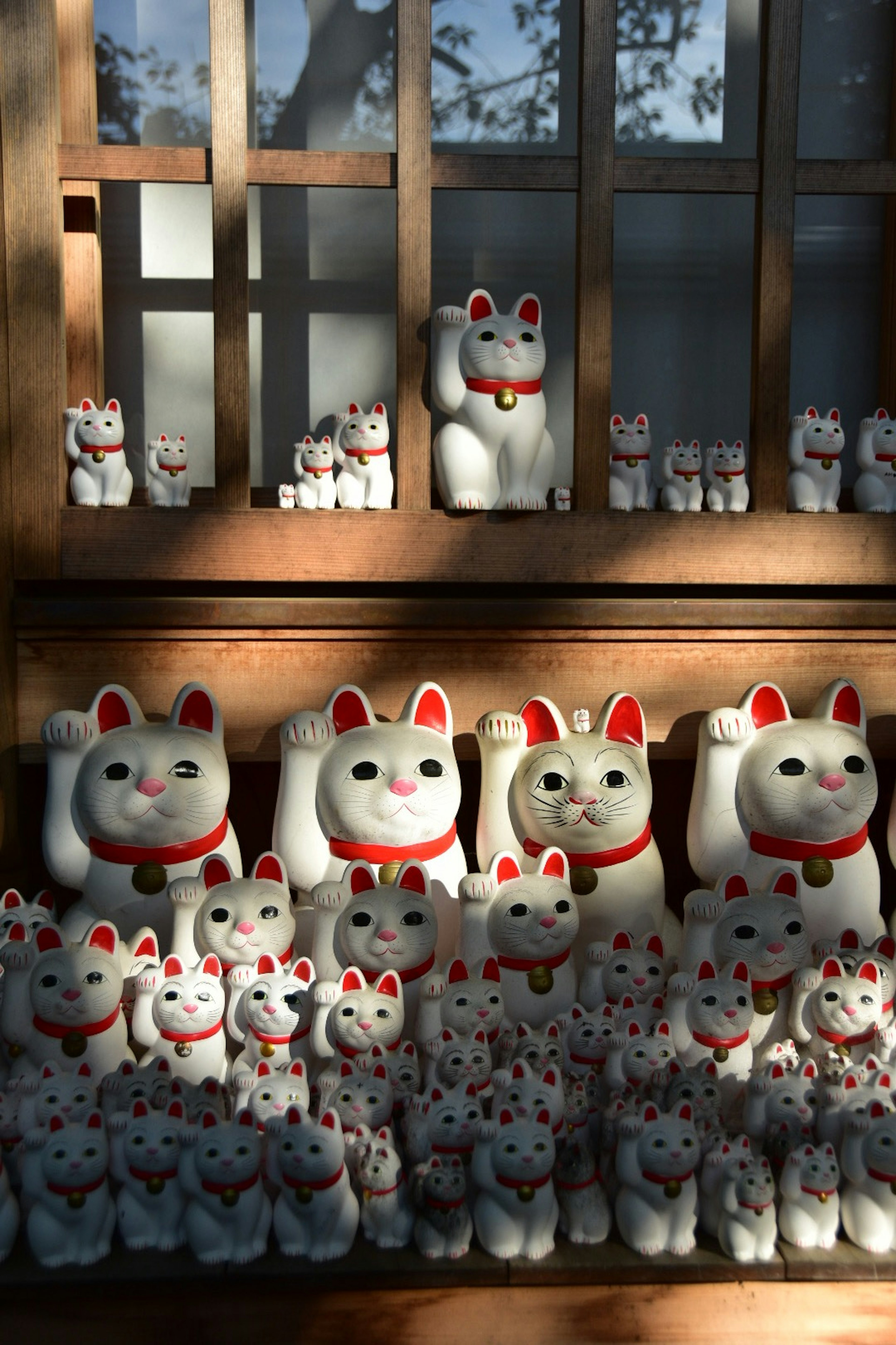 A display of white lucky cat figurines on a wooden shelf