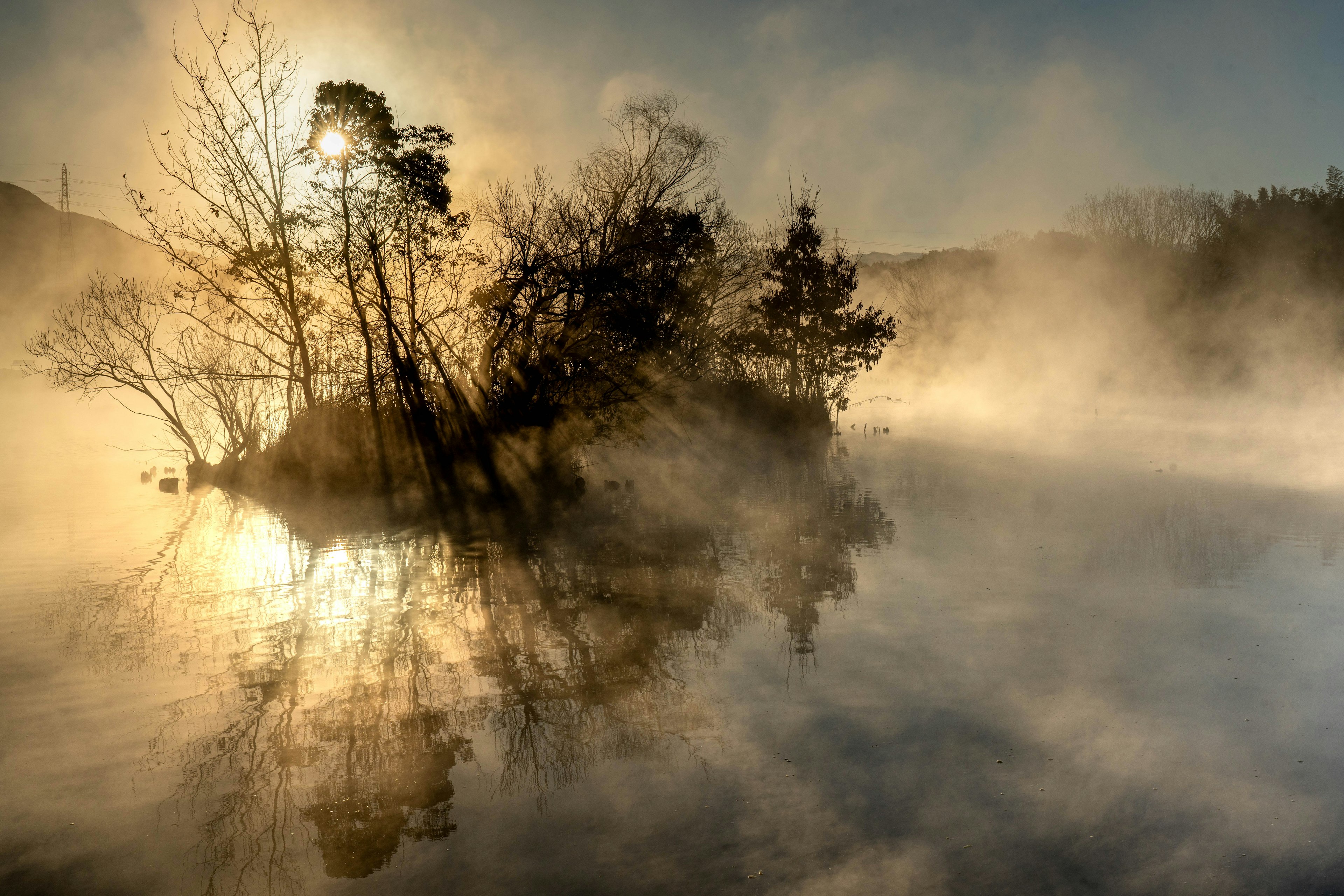 Silhouette von Bäumen auf einer kleinen Insel umgeben von Nebel mit Sonnenlicht, das eine magische Atmosphäre schafft