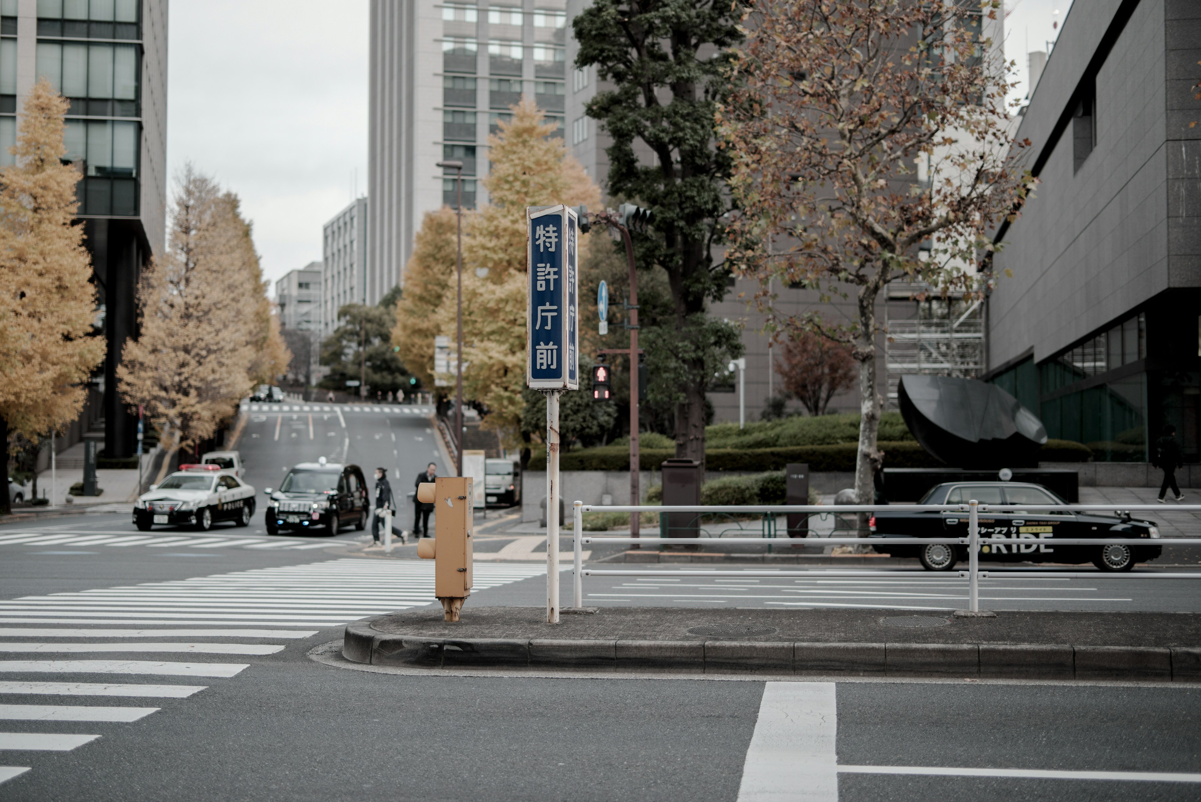 A figure standing at an urban intersection with yellow trees