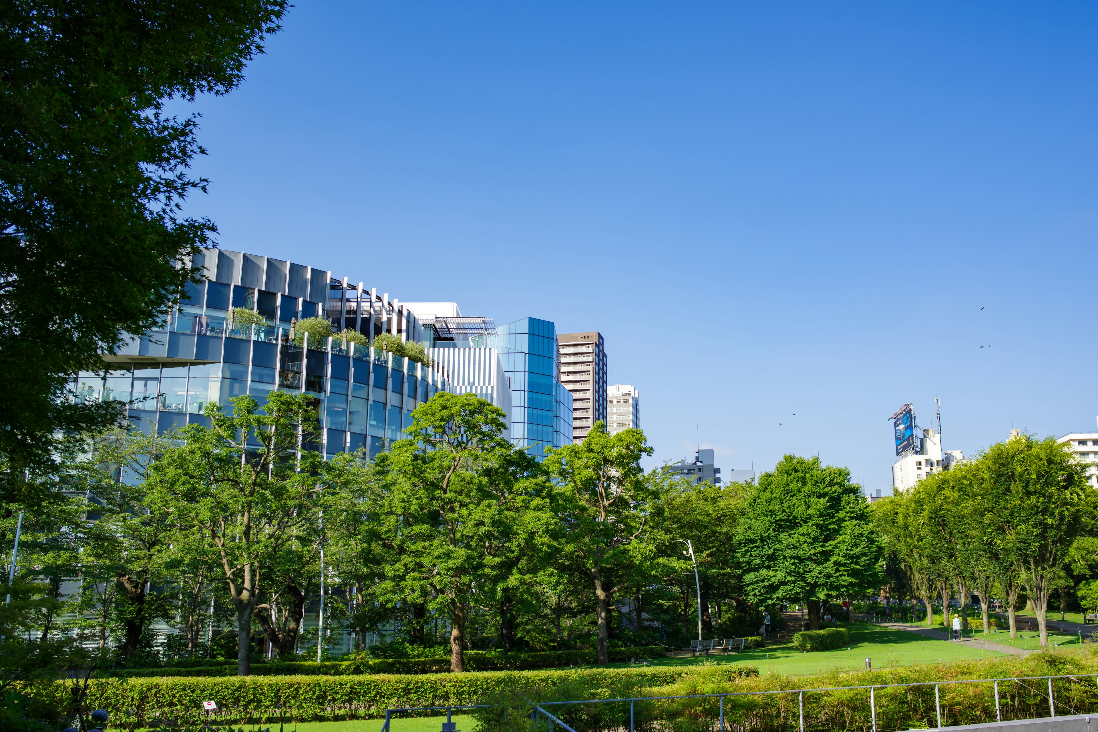 Urban landscape featuring lush green park and modern buildings