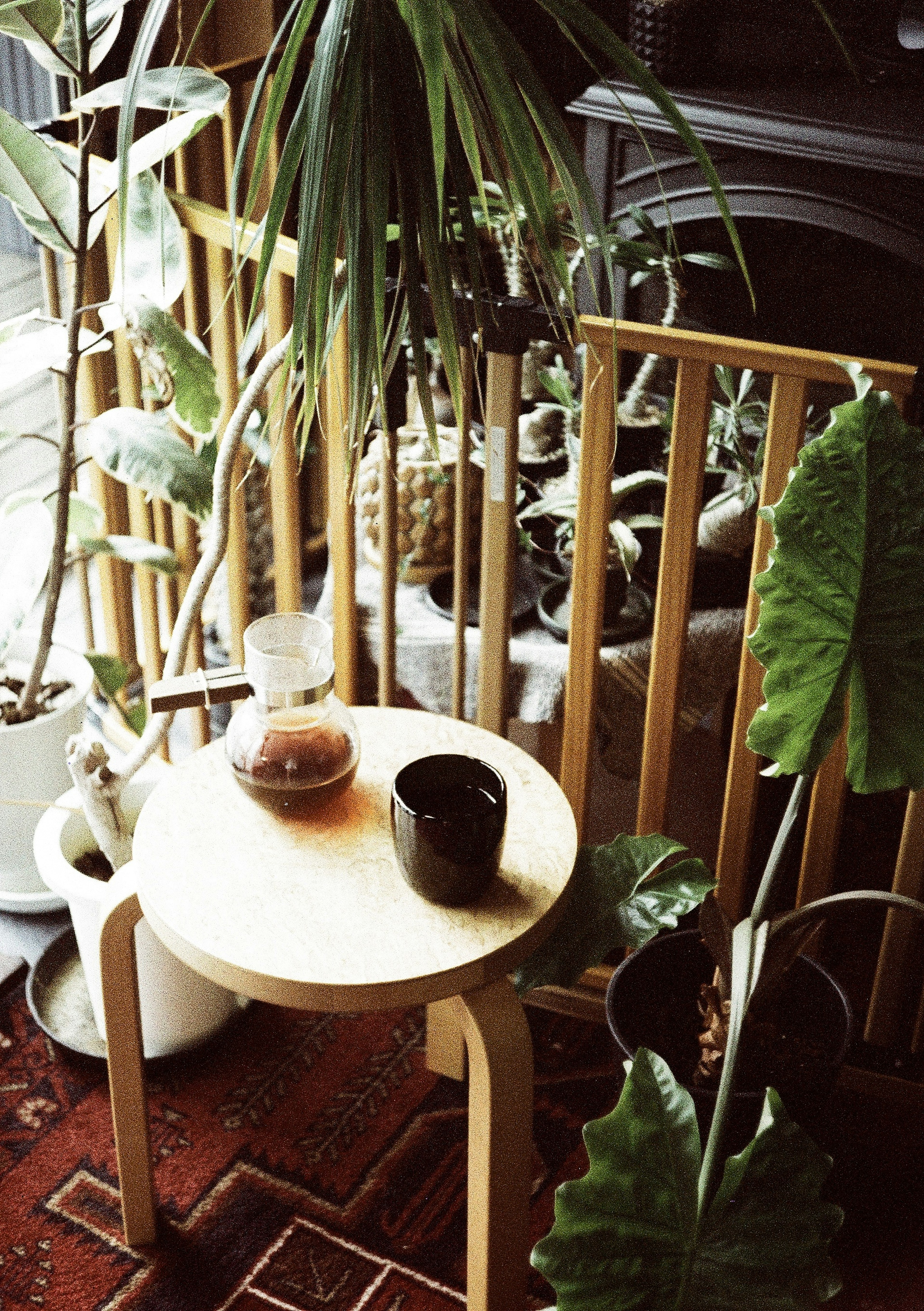 Table en bois entourée de plantes vertes avec des tasses de café