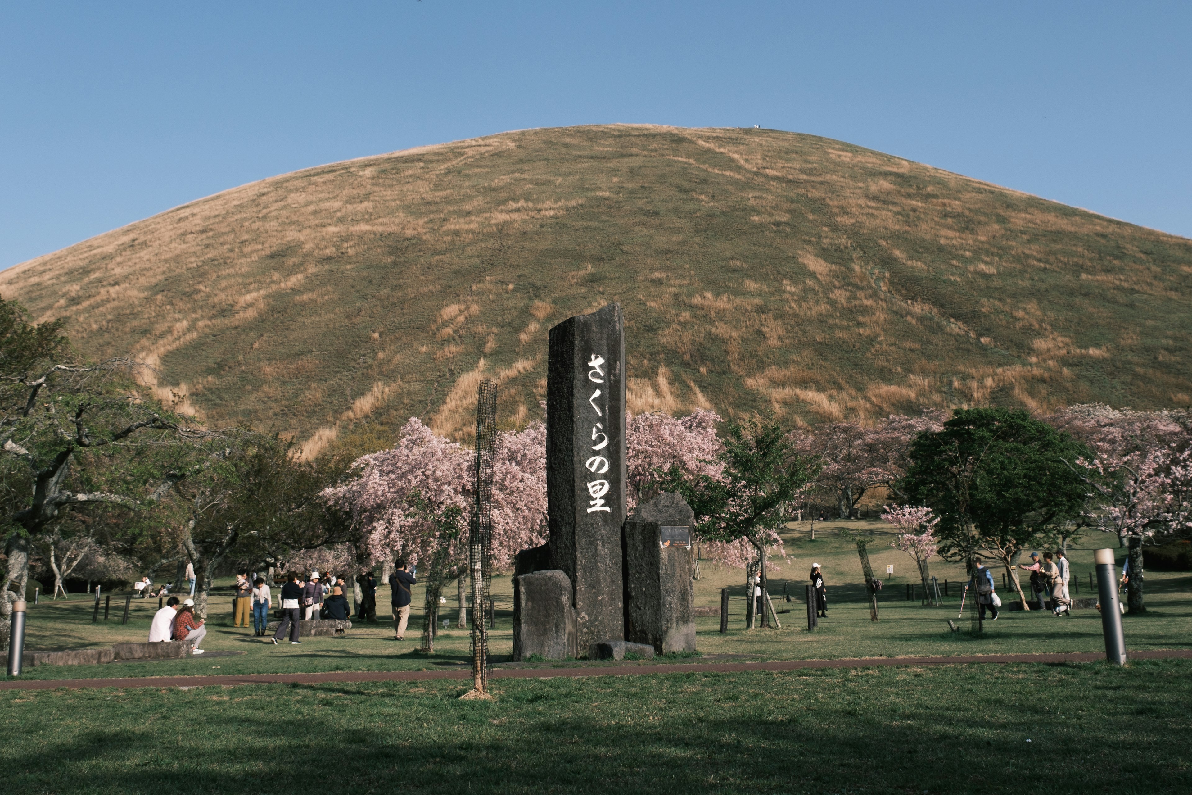 Parkszene mit Kirschblütenbäumen und einem Denkmal grüne Hügel im Hintergrund