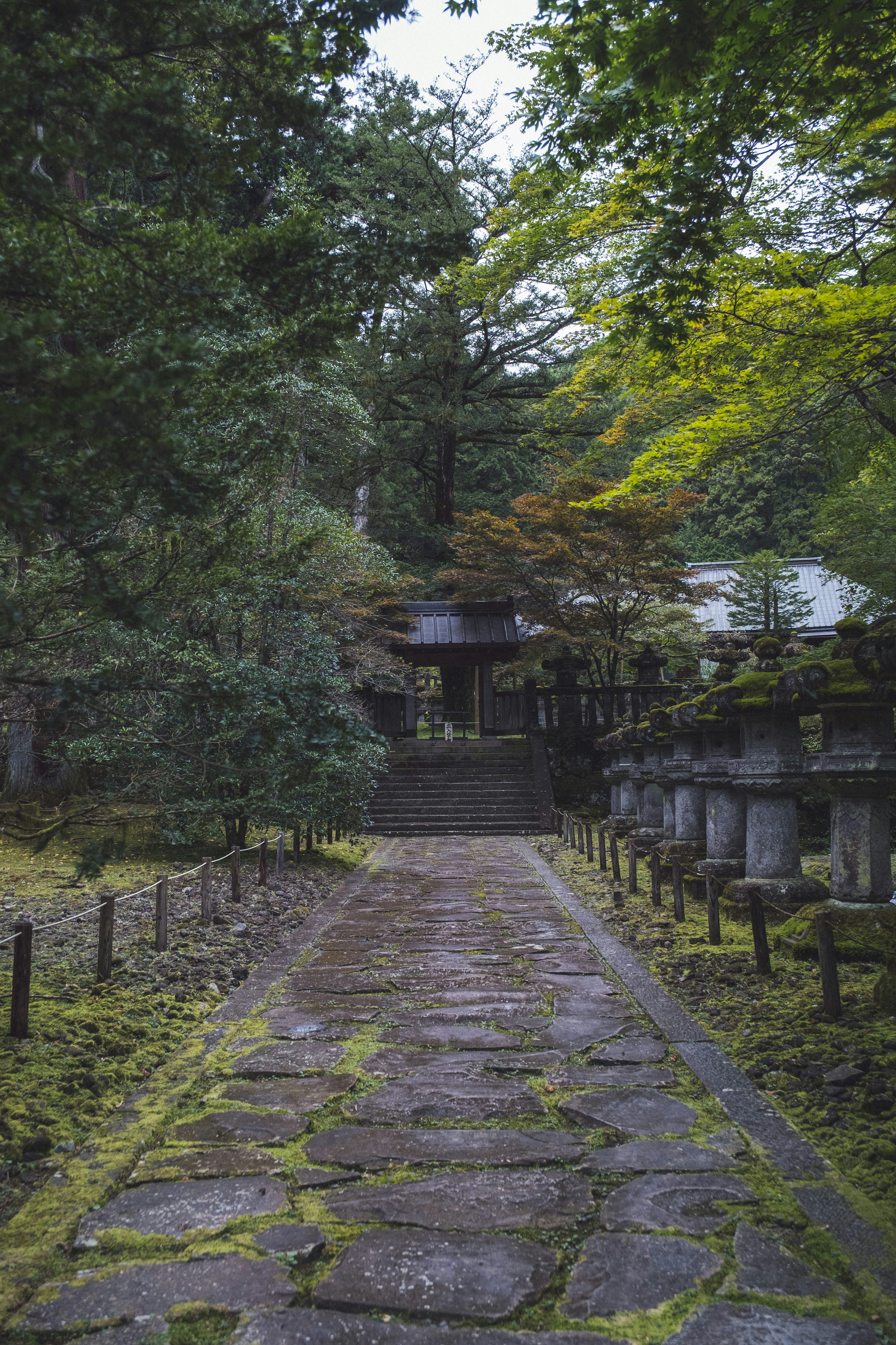 通往被郁郁葱葱绿色环绕的神社的石头小路