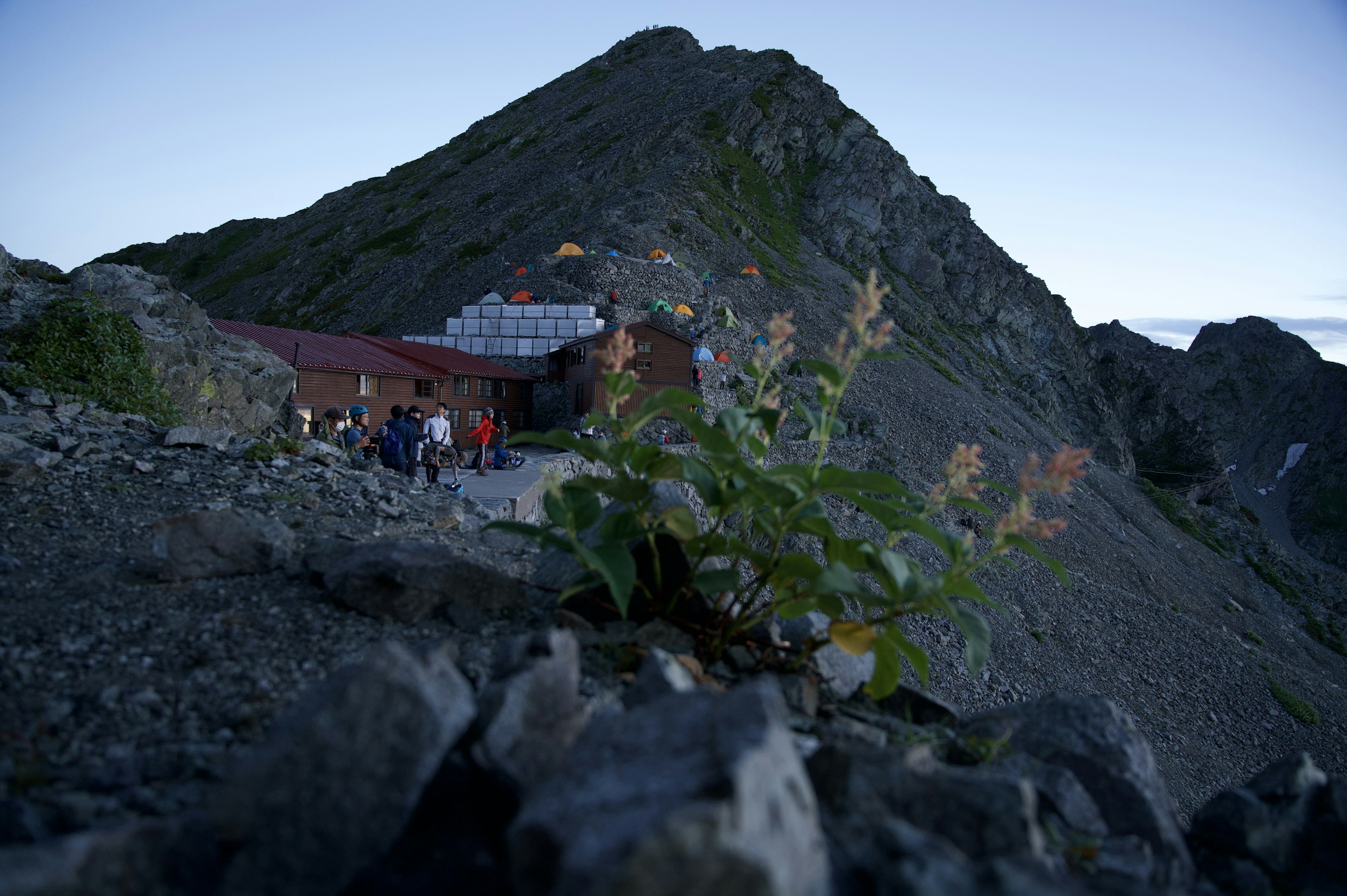 Eine Berglandschaft bei Dämmerung mit einer Hütte im Hintergrund und einer Pflanze, die zwischen Steinen wächst