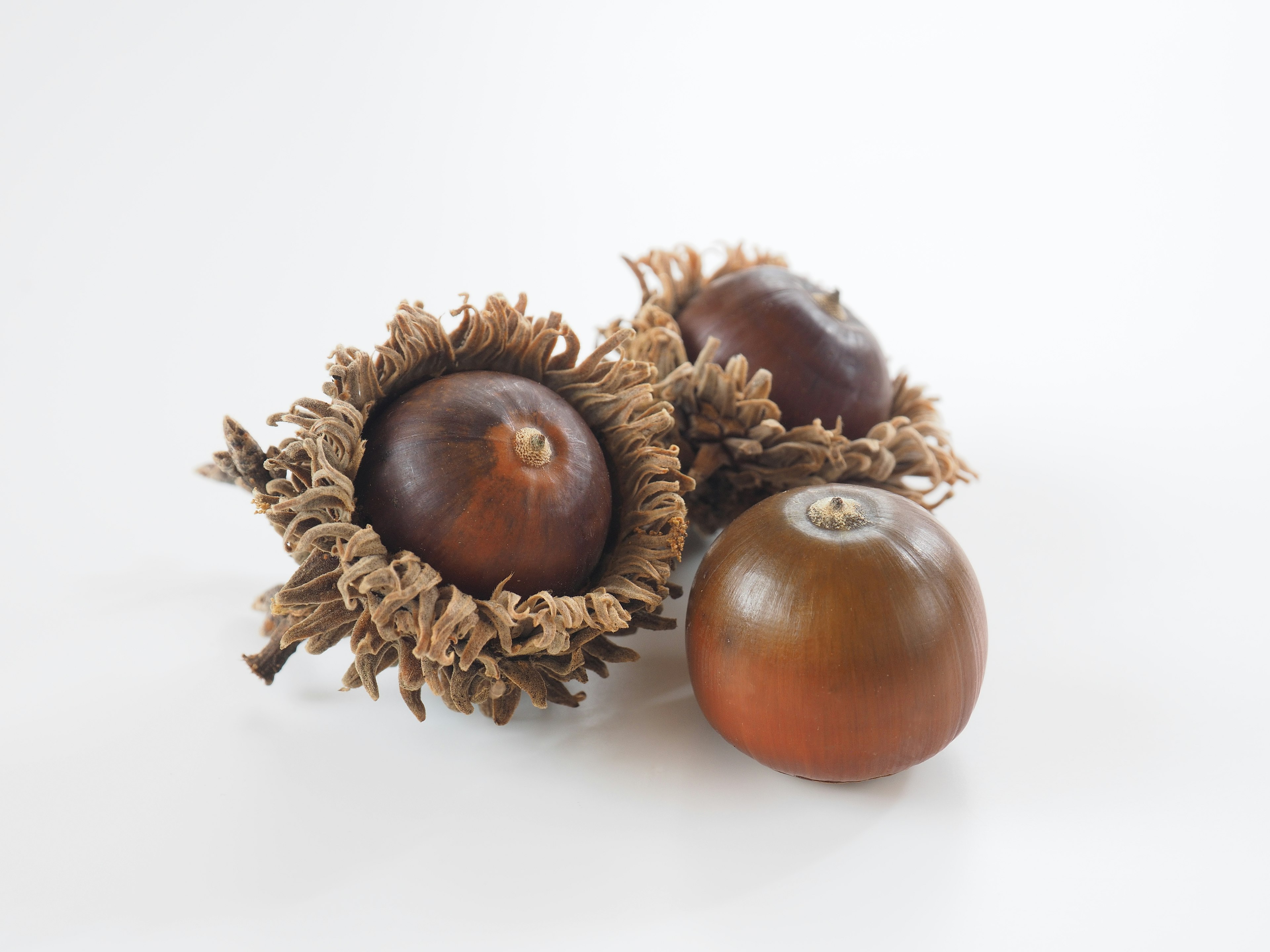 Three fruits arranged on a white background