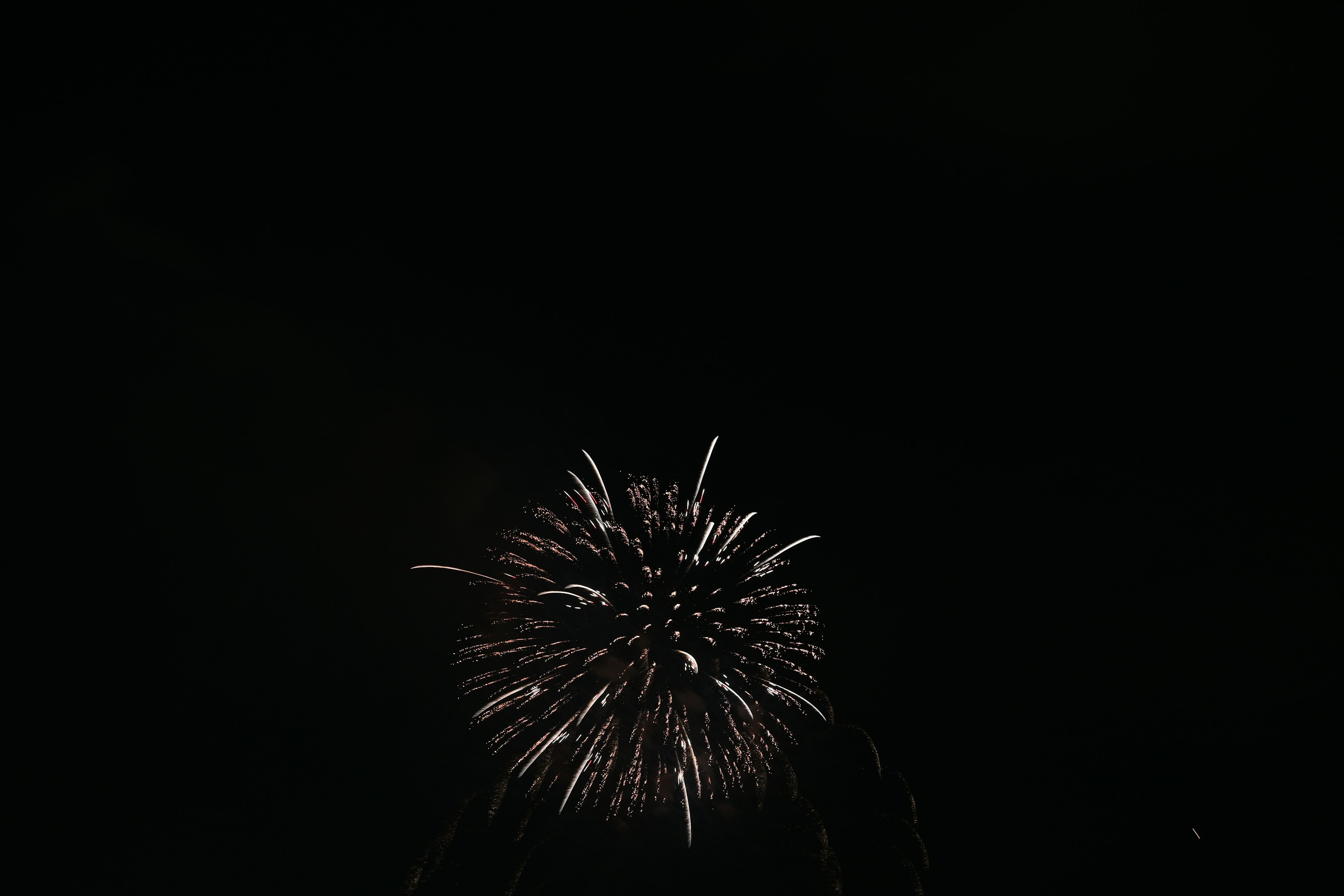 Fuegos artificiales estallando en el cielo oscuro