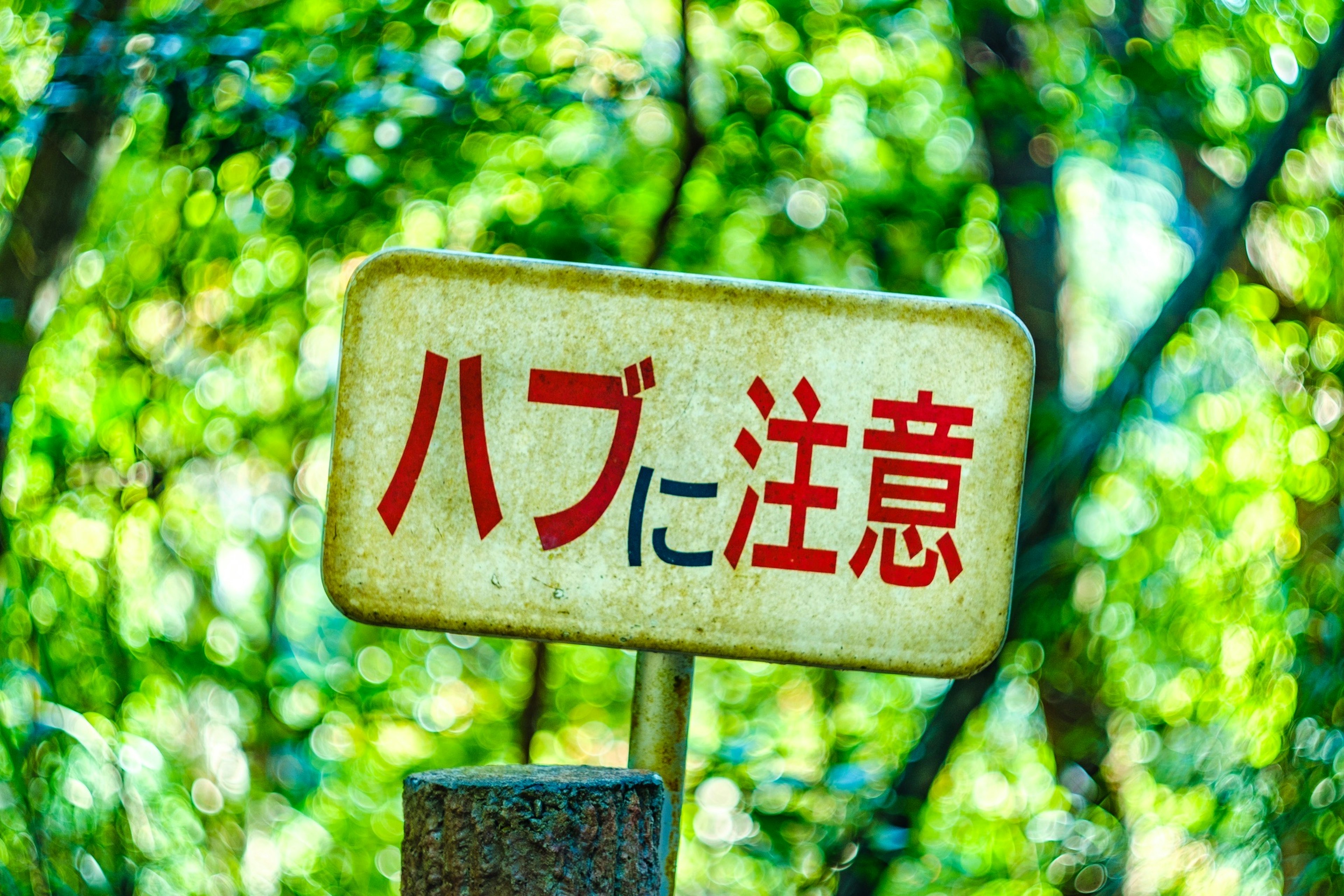 Japanisches Warnschild über Schlangen mit grünem Waldhintergrund